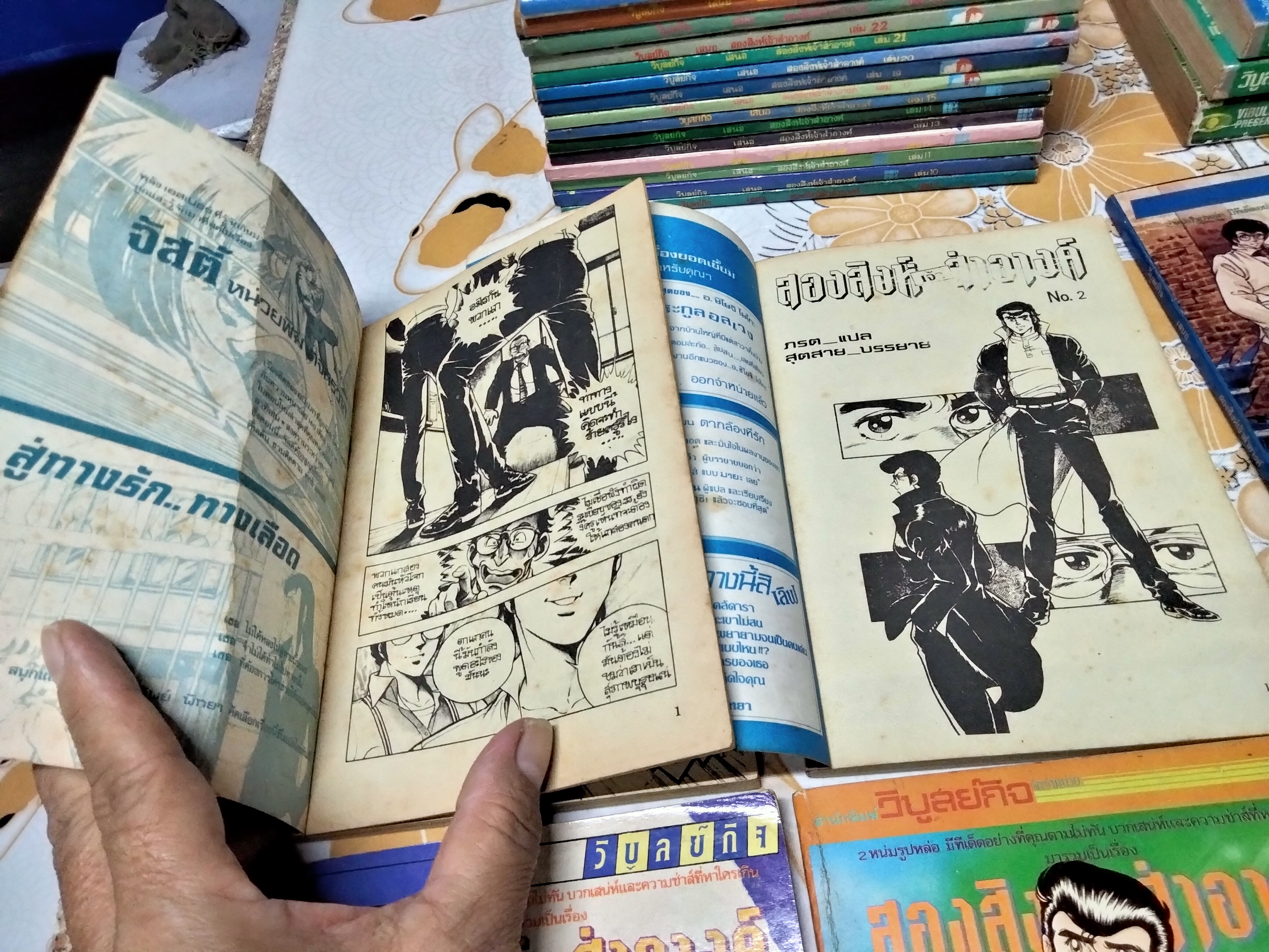 สองสิงห์เจ้าสำอางค์ - วิบูลย์กิจ (ขายรวม 27 เล่ม ขาดเล่ม 16,18 - ครบชุดคือ 29 เล่มจบ)