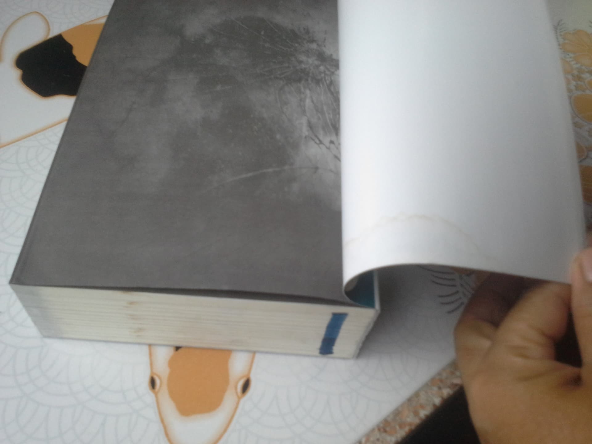 พระอาทิตย์เที่ยงคืน โดย Keigo Higashino (เคโงะ ฮิงาชิโนะ) ,สุริยงวรวุฒิ สิริวัฒน์กุล แปล (เล่มนี้มีคราบน้ำ) **สินค้าหมด**