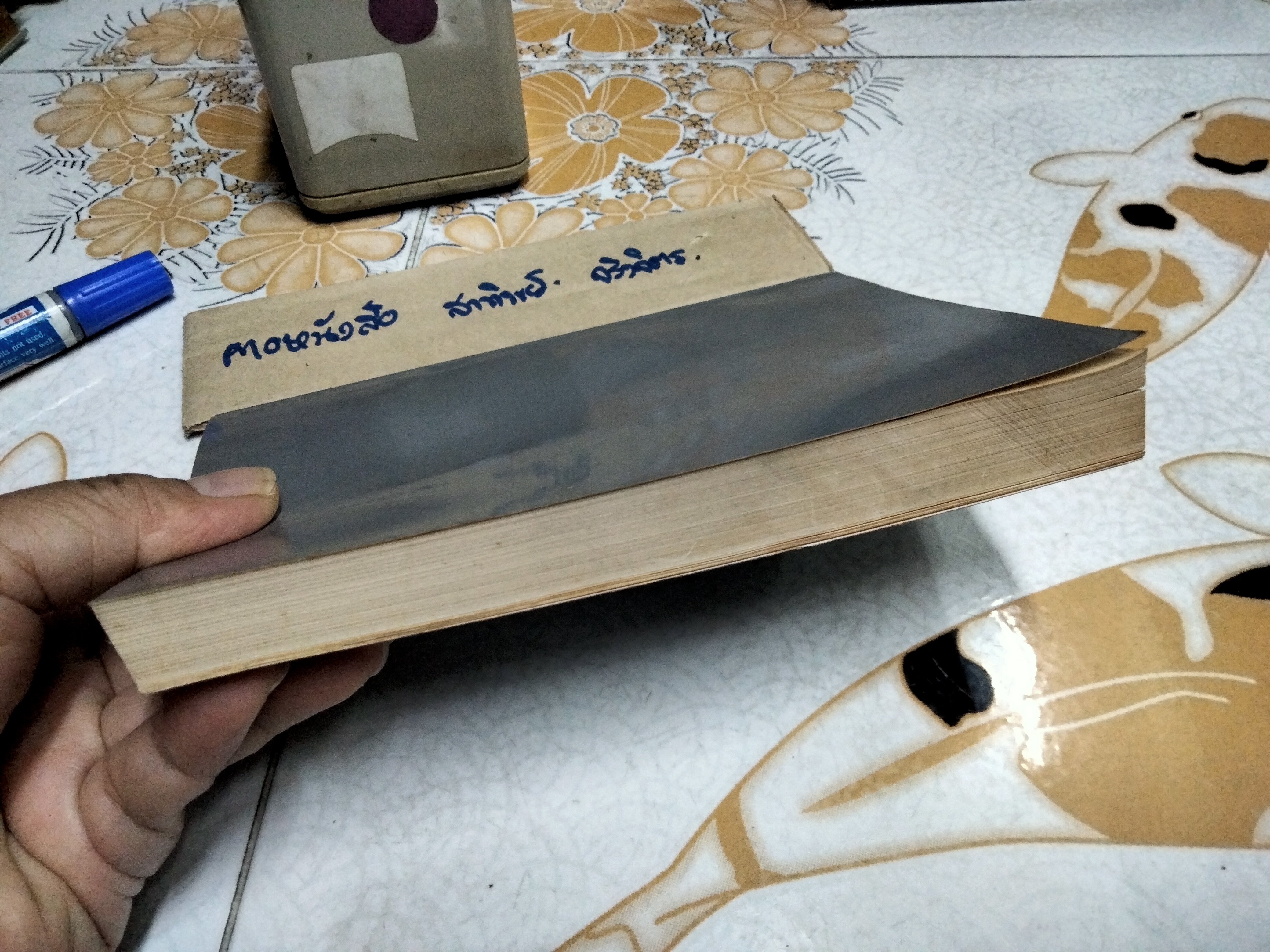 ภูมิ วิลาสินี ตอน มนุสสภูมิ และ เทวภูมิ ผลงานของ ท่านเจ้าคุณพระเทพมุนี