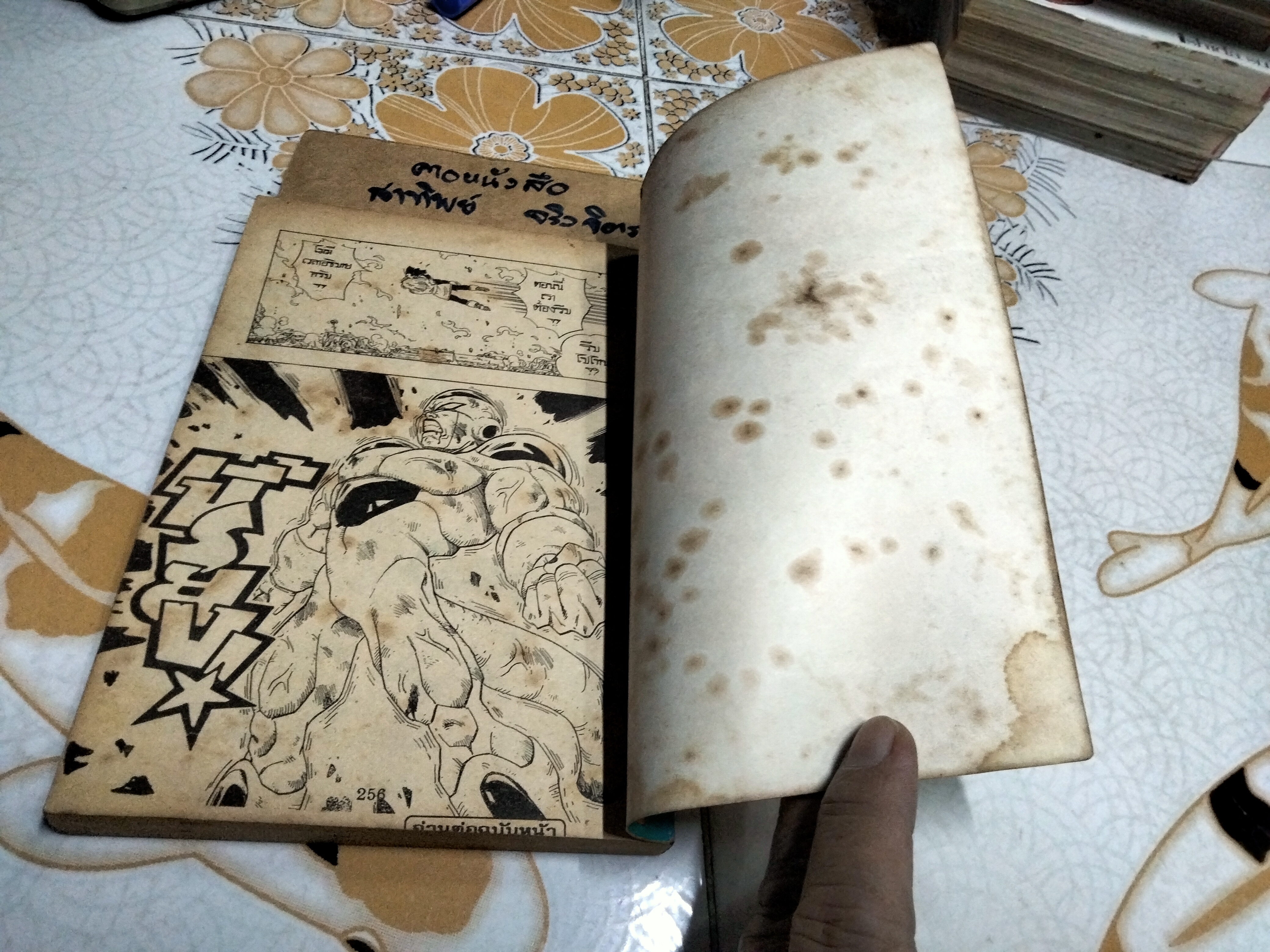 ดราก้อนบอล สนพ.หมึกจีน เล่มที่ 17 (เศษ)