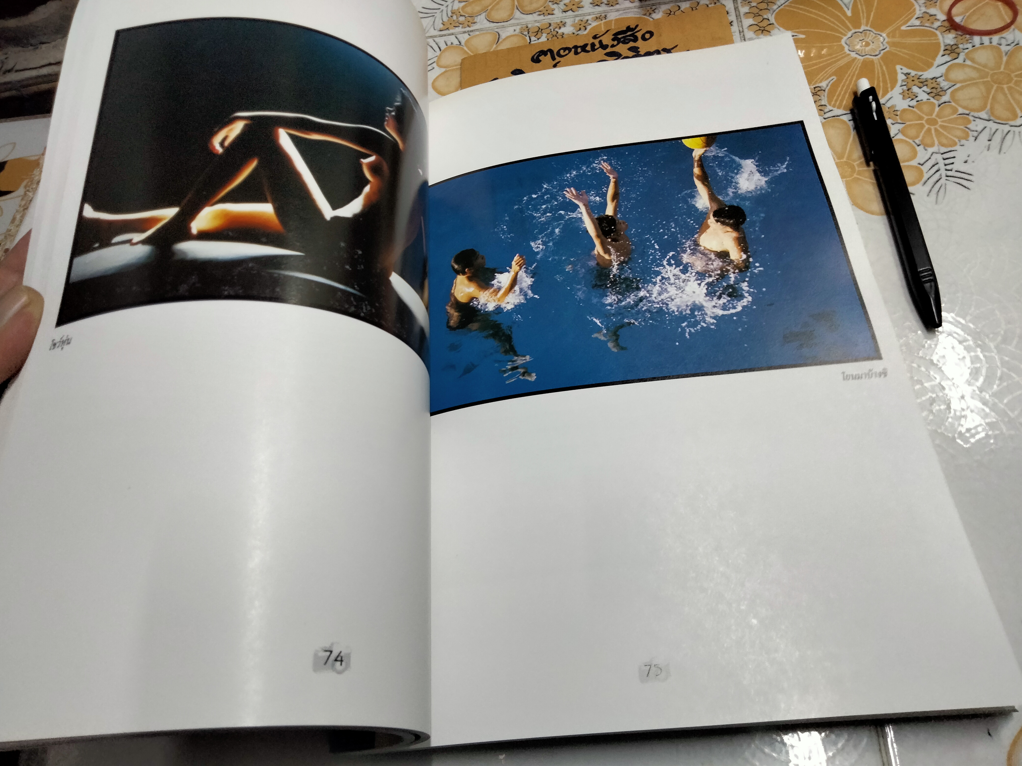 หนังสือรวมผลงานภาพถ่าย ของ ไพจิตร โอภาสวงการ