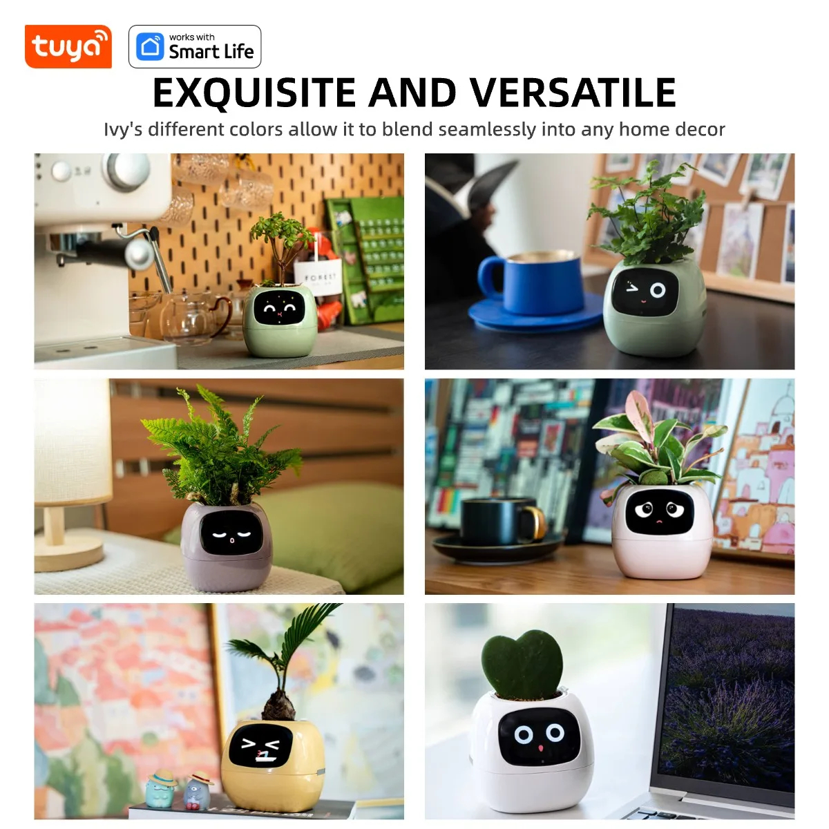 หุ่นยนต์พืชไอวี่ Smart planter Endless Ivy