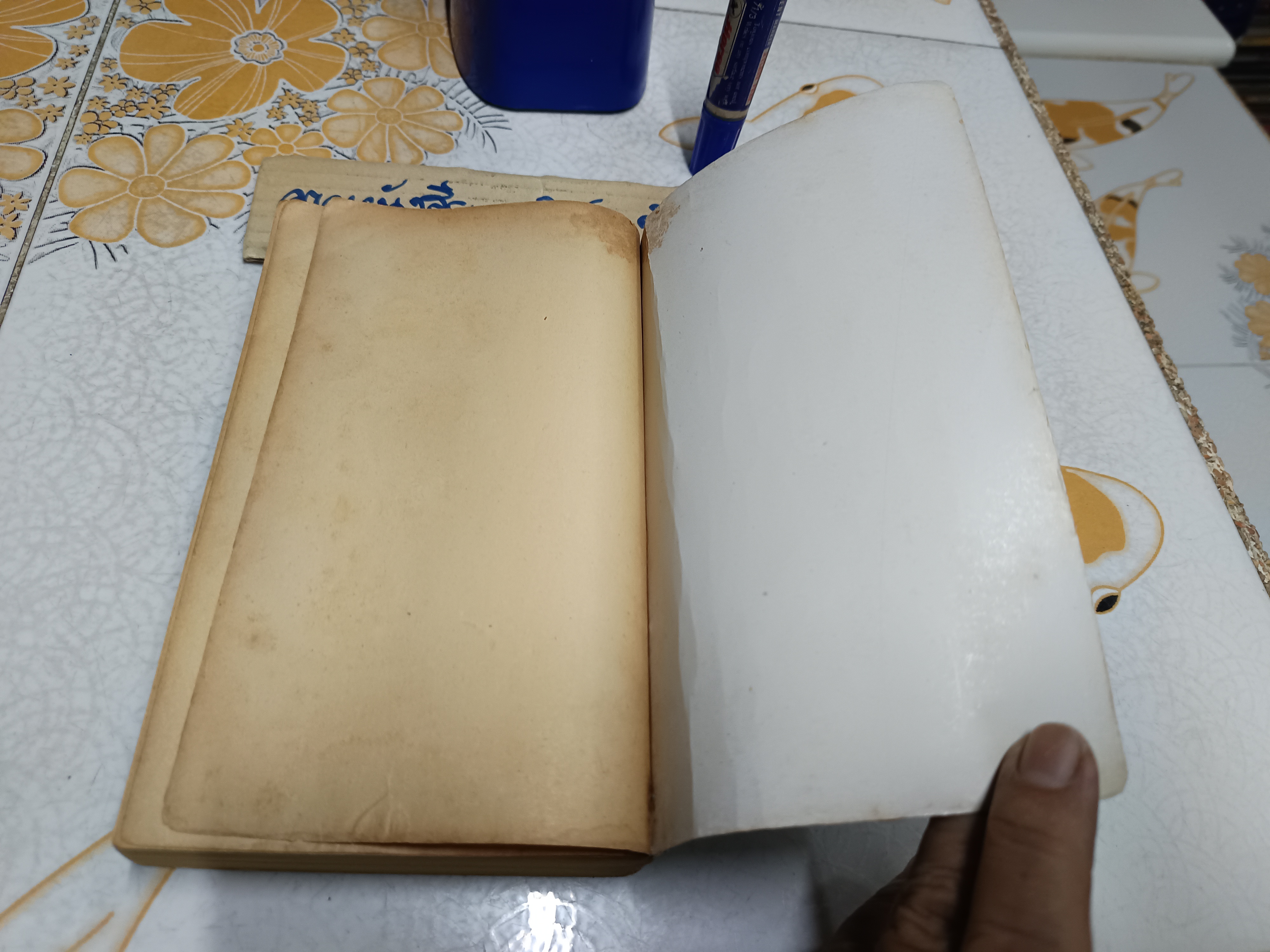 ชั่วนิจนิรันดร (La nuit des temps) เรอเน่ บาร์ฌาแวล เขียน กัญญา แปล พิมพ์ครั้งแรกพ.ศ 2529 **สินค้าหมด**