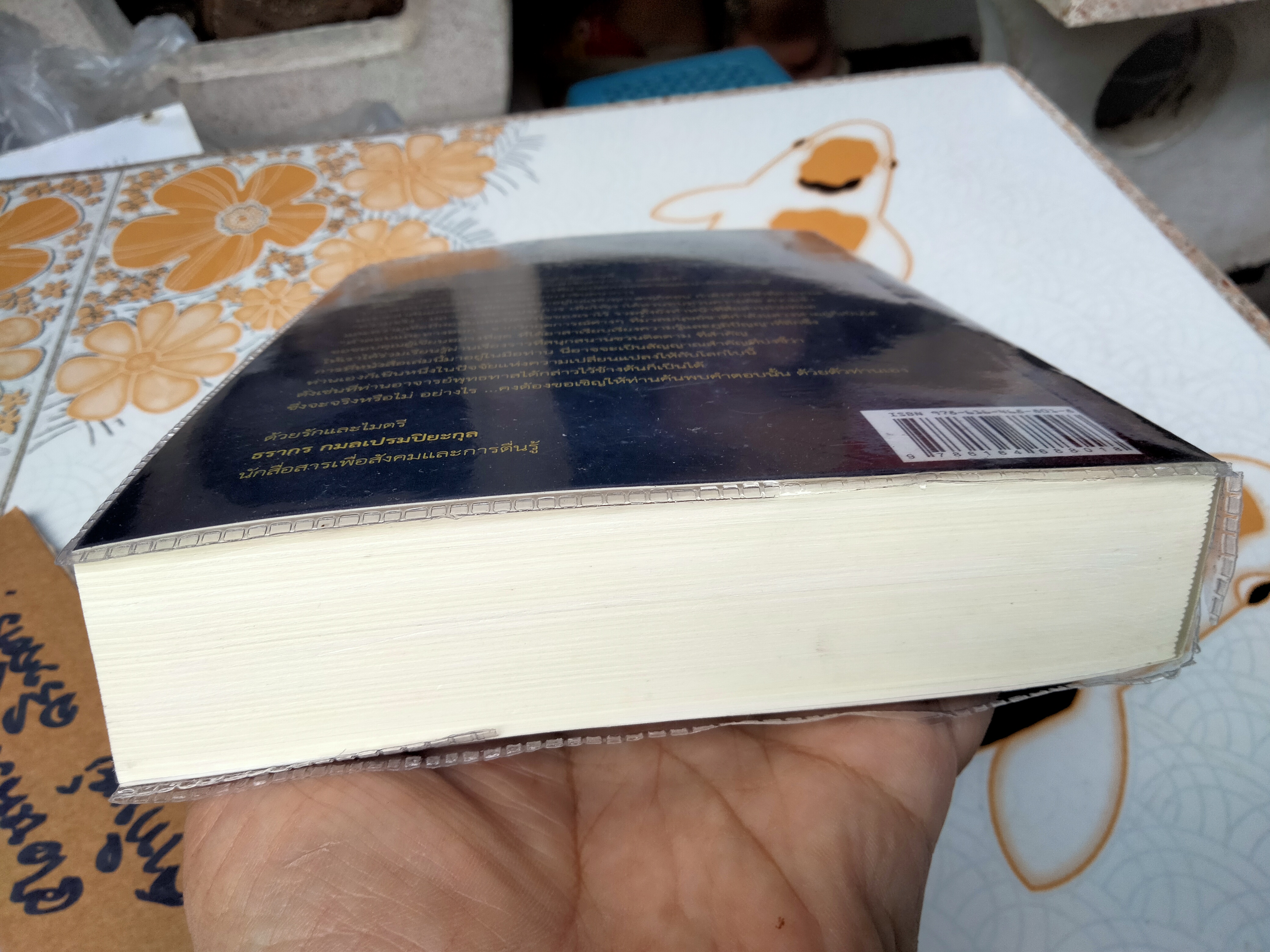 อารียา เมตายา (Areeya Metaya) โดย ธาตรี โภควนิช **สินค้าหมด**