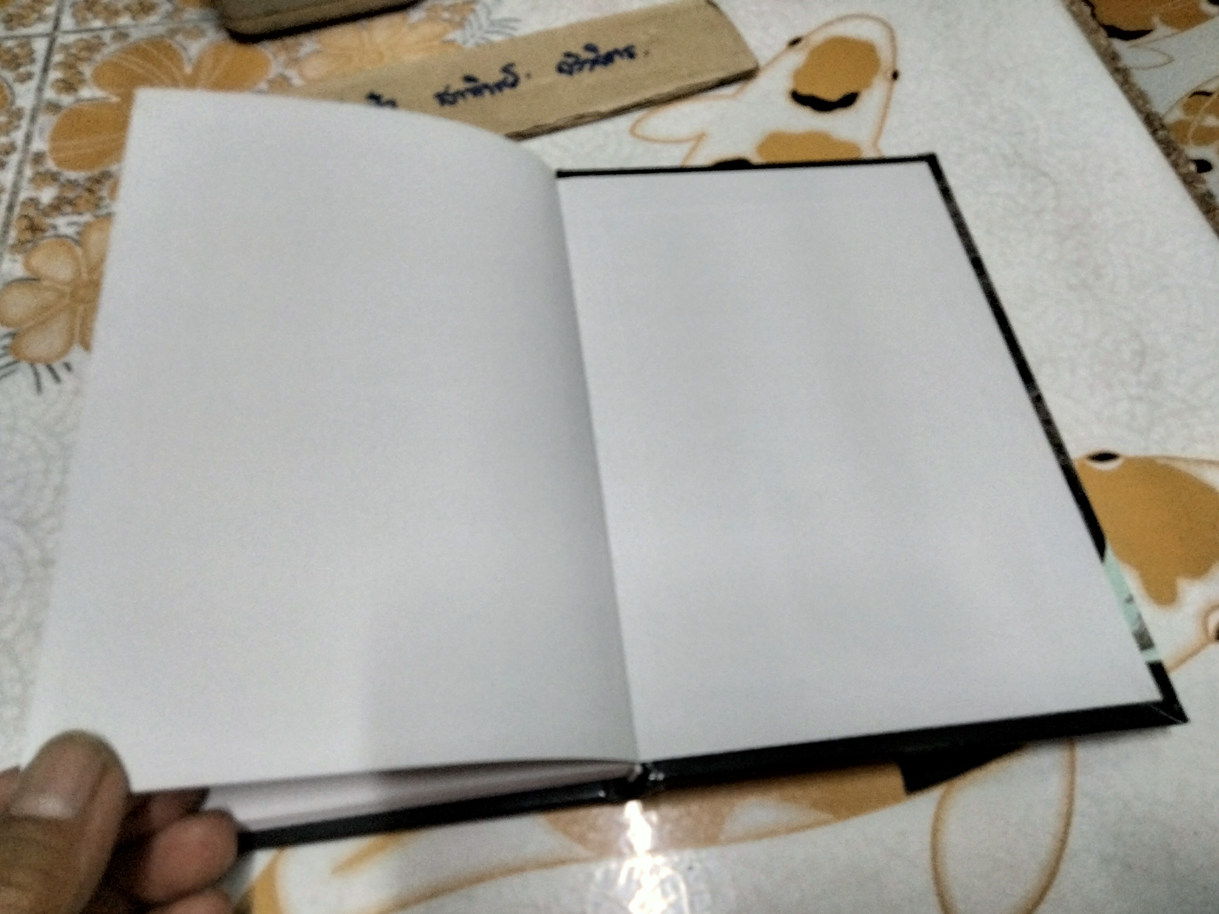 ตำนานปีศาจญี่ปุ่น Shigeru Mizuki เรื่องและภาพ Marisa Kotani แปล พิมพ์ครั้งแรก พ.ศ 2550 **สินค้าหมด**