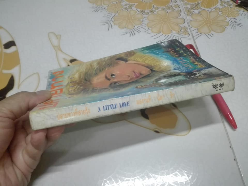 ปลายทางที่สายรุ้ง (A Little Love) - นิดา แปล **สินค้าหมด**