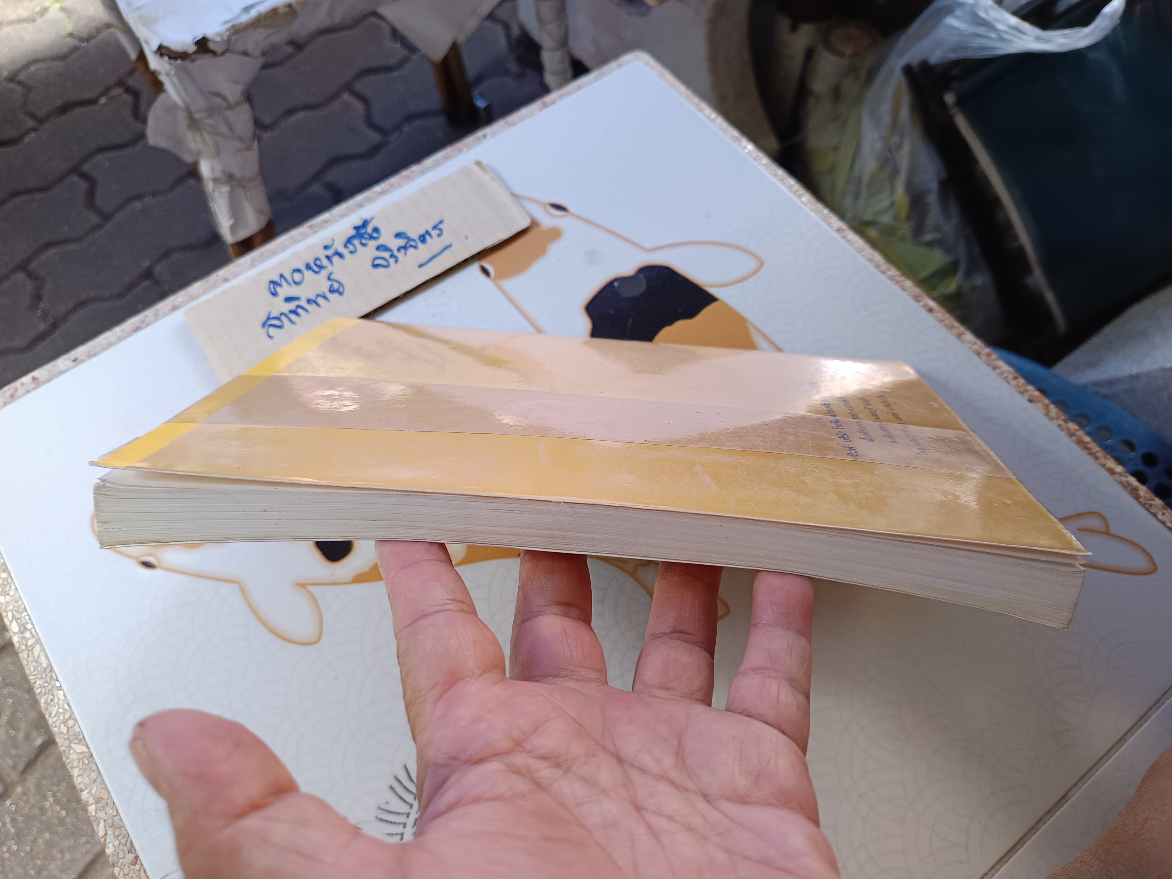 เคล็ดลับและเทคนิค อุทธรณ์ฎีกาคดีอาญา โดย สุชาติ รุ่งทรัพยธรรม **สินค้าหมด**