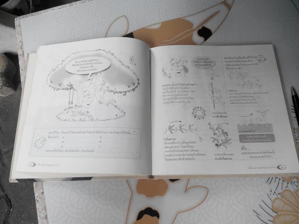 เรื่องเล่าของลุงมะขาม **สินค้าหมด**