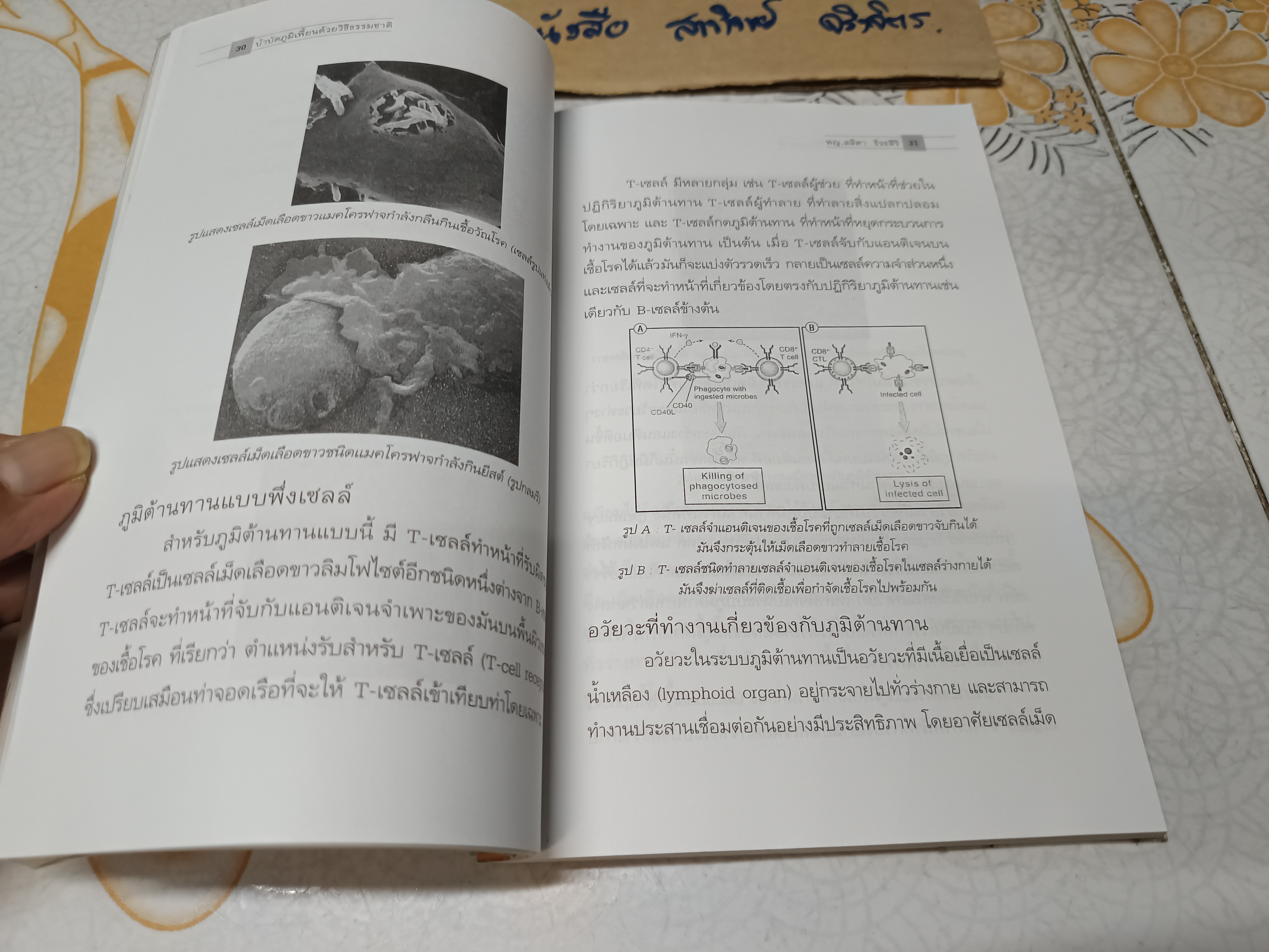 บำบัดภูมิเพี้ยน ด้วยวิธีธรรมชาติ โดย พญ. ลลิตา ธีระสิริ **สินค้าหมด**
