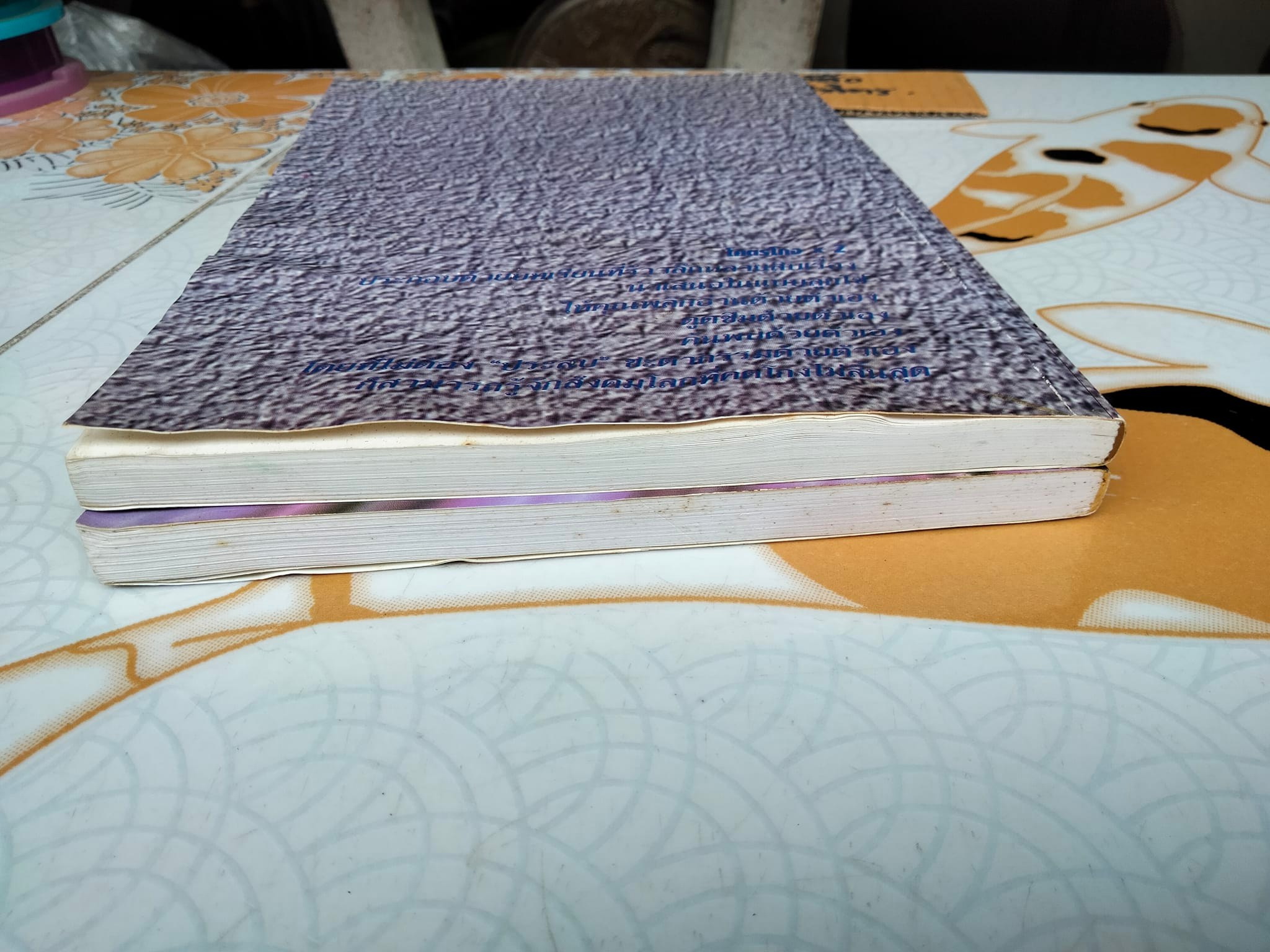 โคตรโกง x 2 - โคตรมหาโกง โดย ใบไผ่เขียว (ขายรวม 2 เล่ม)**สินค้าหมด**