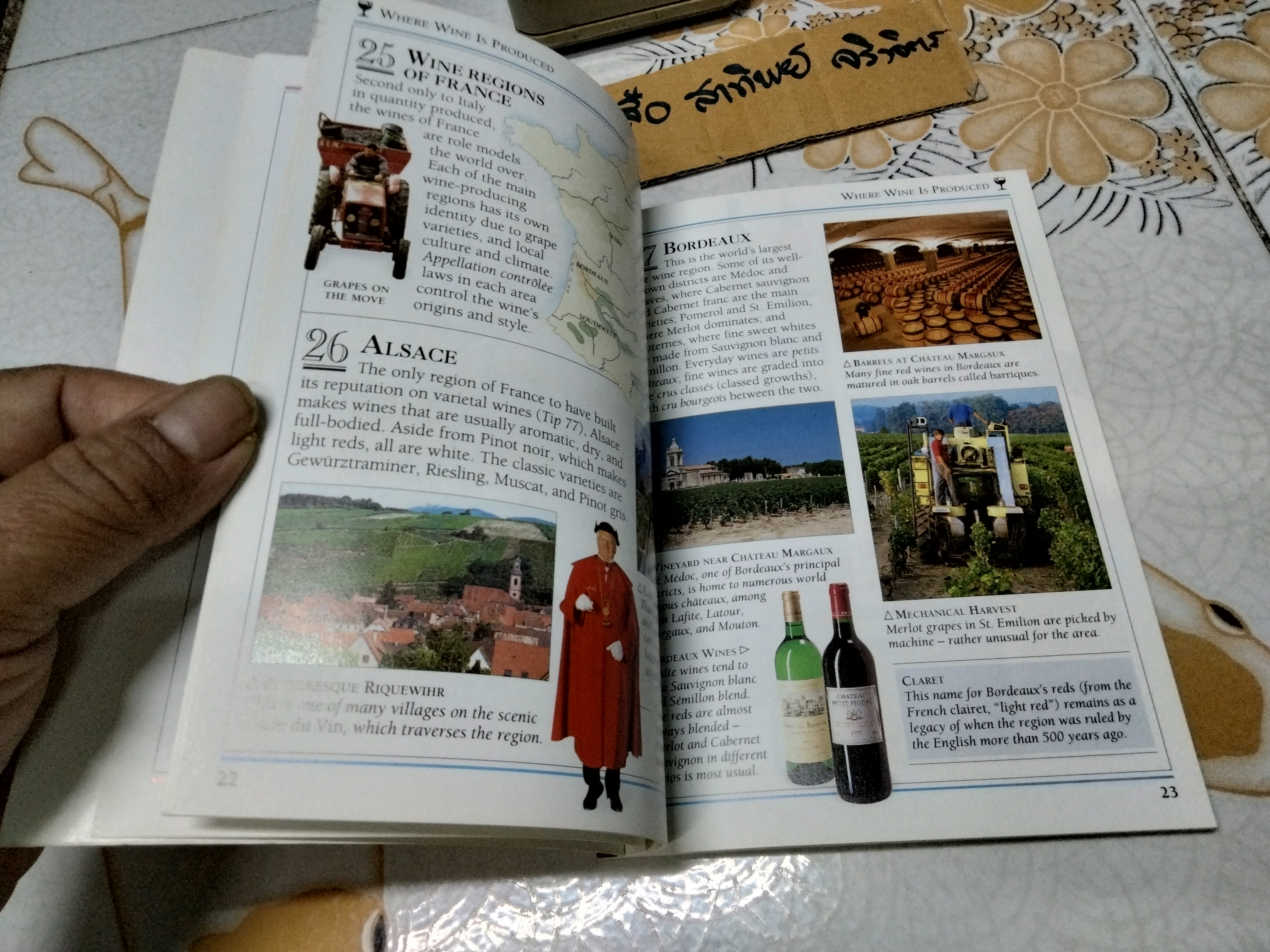 101 Essential Tips Wine by Tom Stevenson