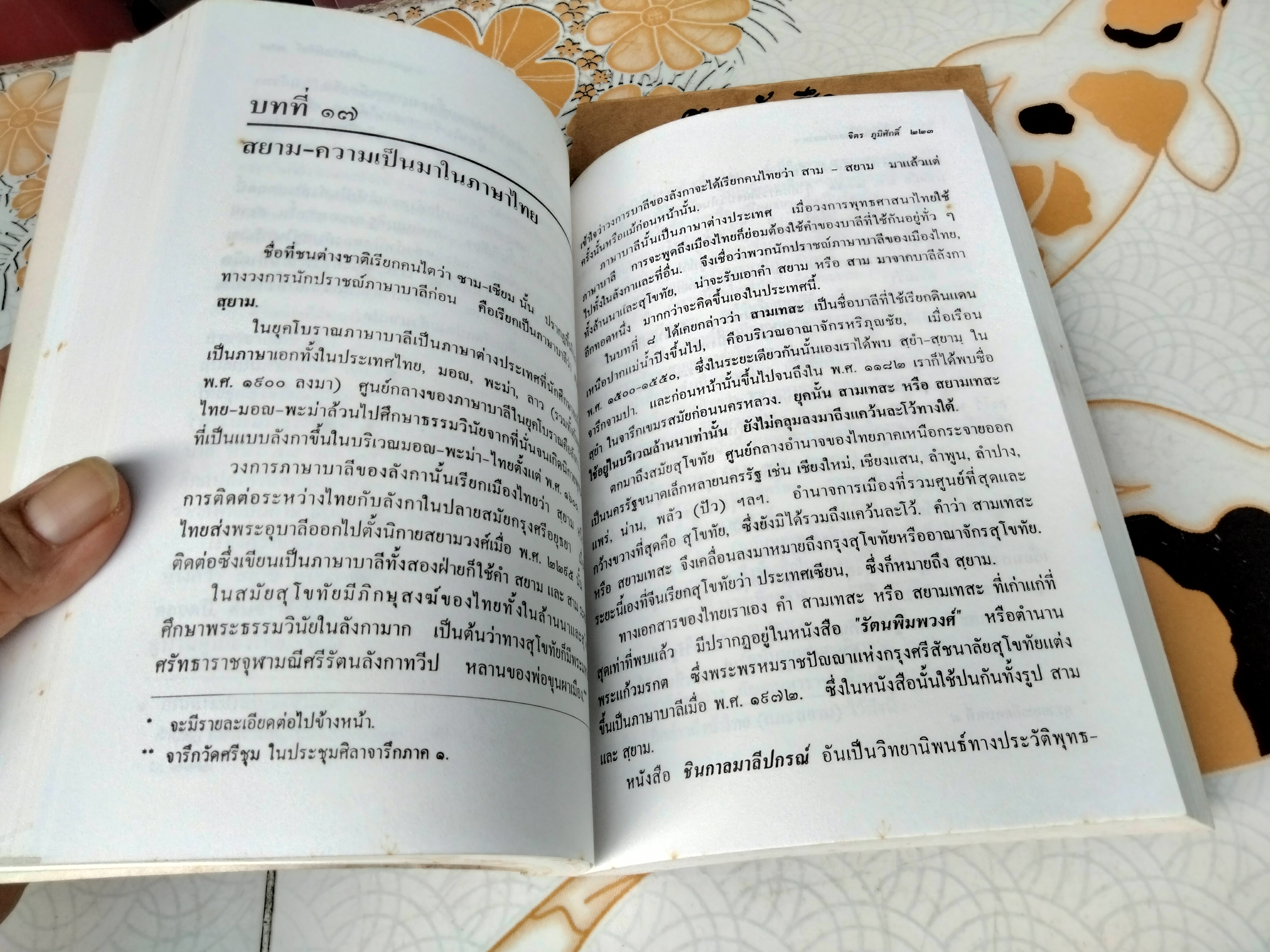 ความเป็นมาของคำสยาม ไทย ลาว และขอม และลักษณะทางสังคมของชื่อชนชาติ ฉบับสมบูรณ์ โดย จิตร ภูมิศักดิ์ (พิมพ์ 4/2540) **สินค้าหมด**