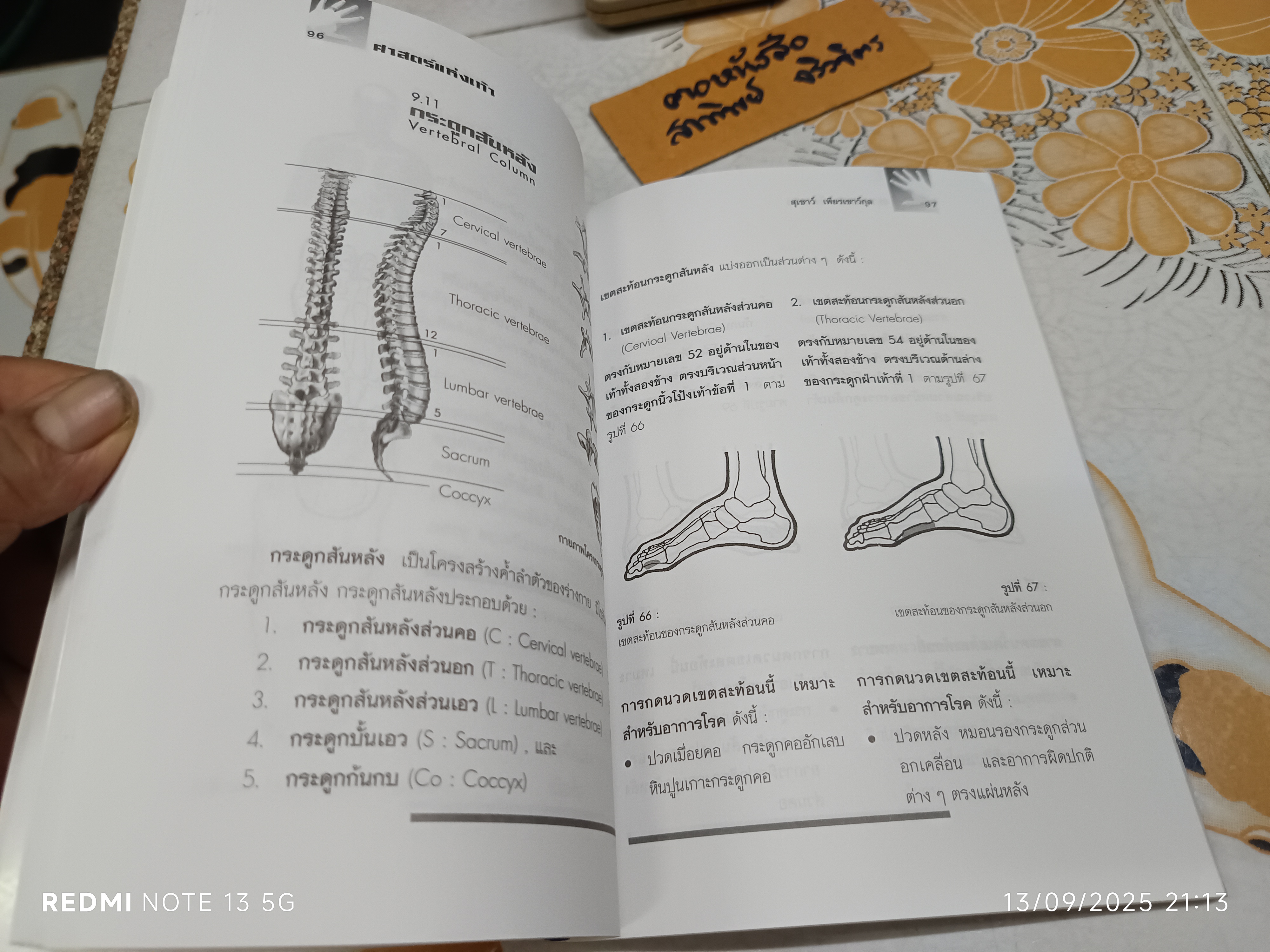 ศาสตร์แห่งเท้า โดย สุเชาว์ เพียรเชาว์กุล พิมพ์ครั้งแรก พ.ศ. 2543