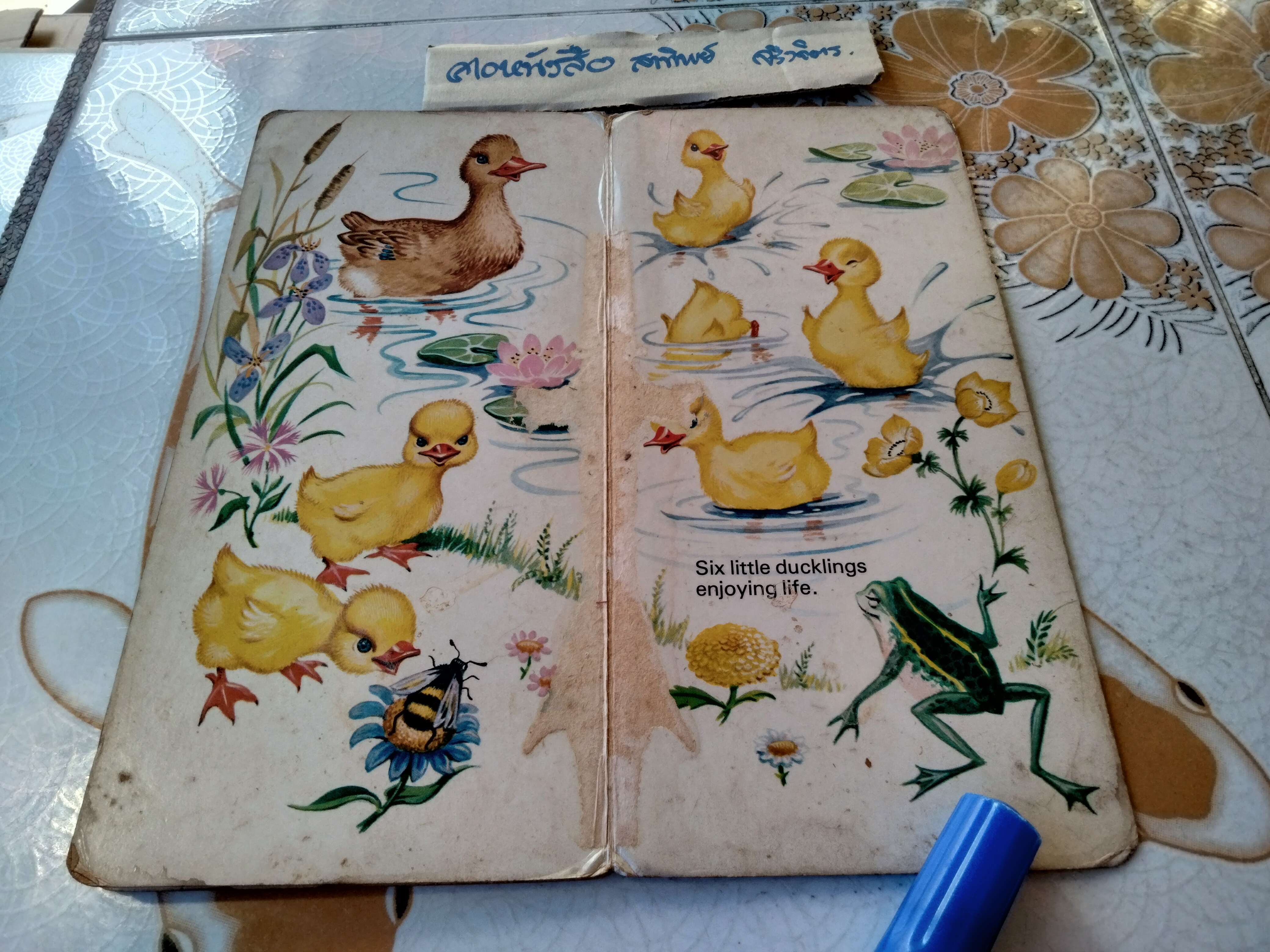 Animal Playtime , Boardbook , Vintage Murrays Childrens Books, printed in Holland.