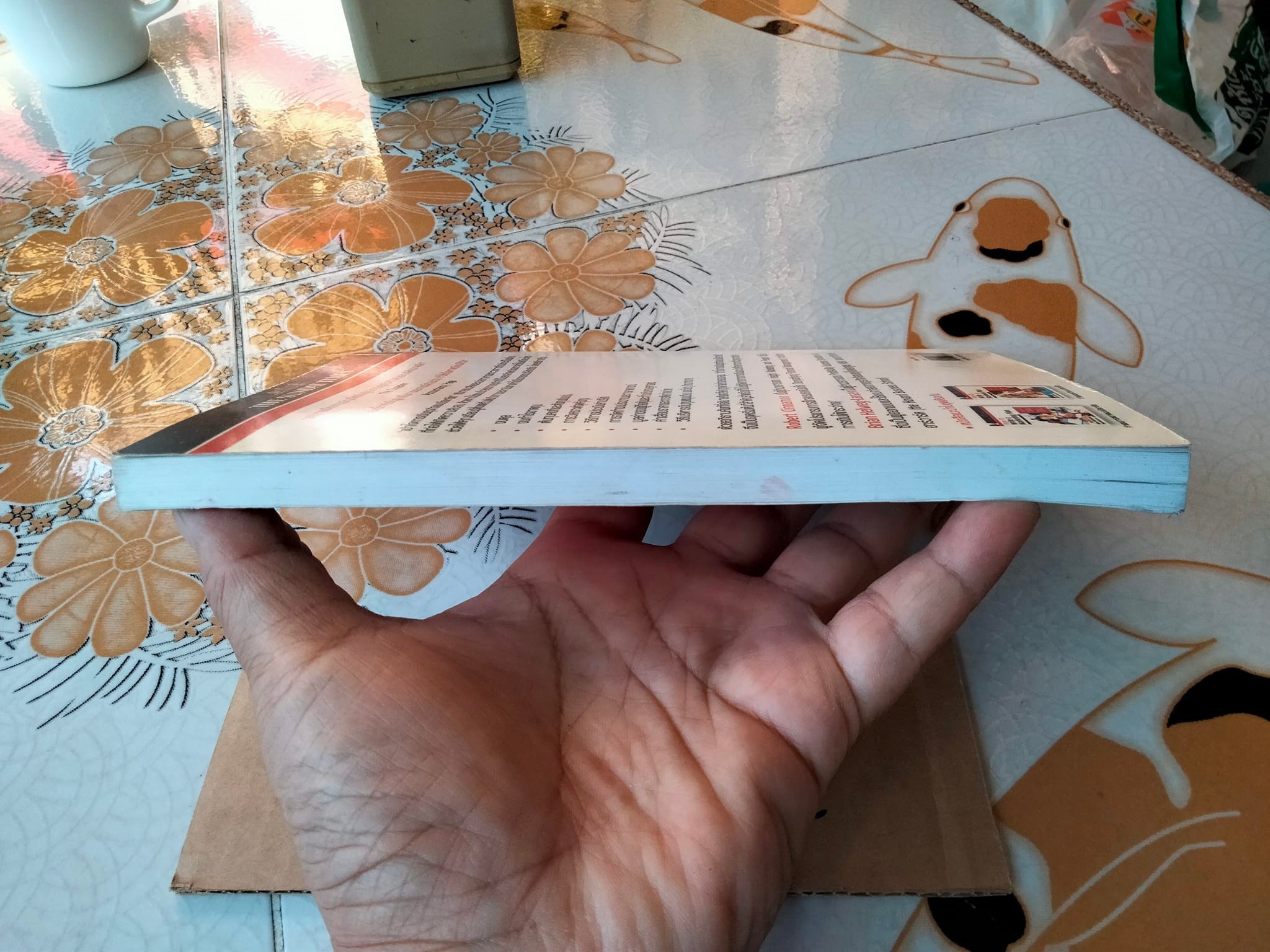 How to Understand Business Finance เข้าใจการเงินธุรกิจแบบมืออาชีพ Robert Cinnamon & Brian Helweg-Larsen ดนิตา ธนาปุระ แปล **สินค้าหมด**