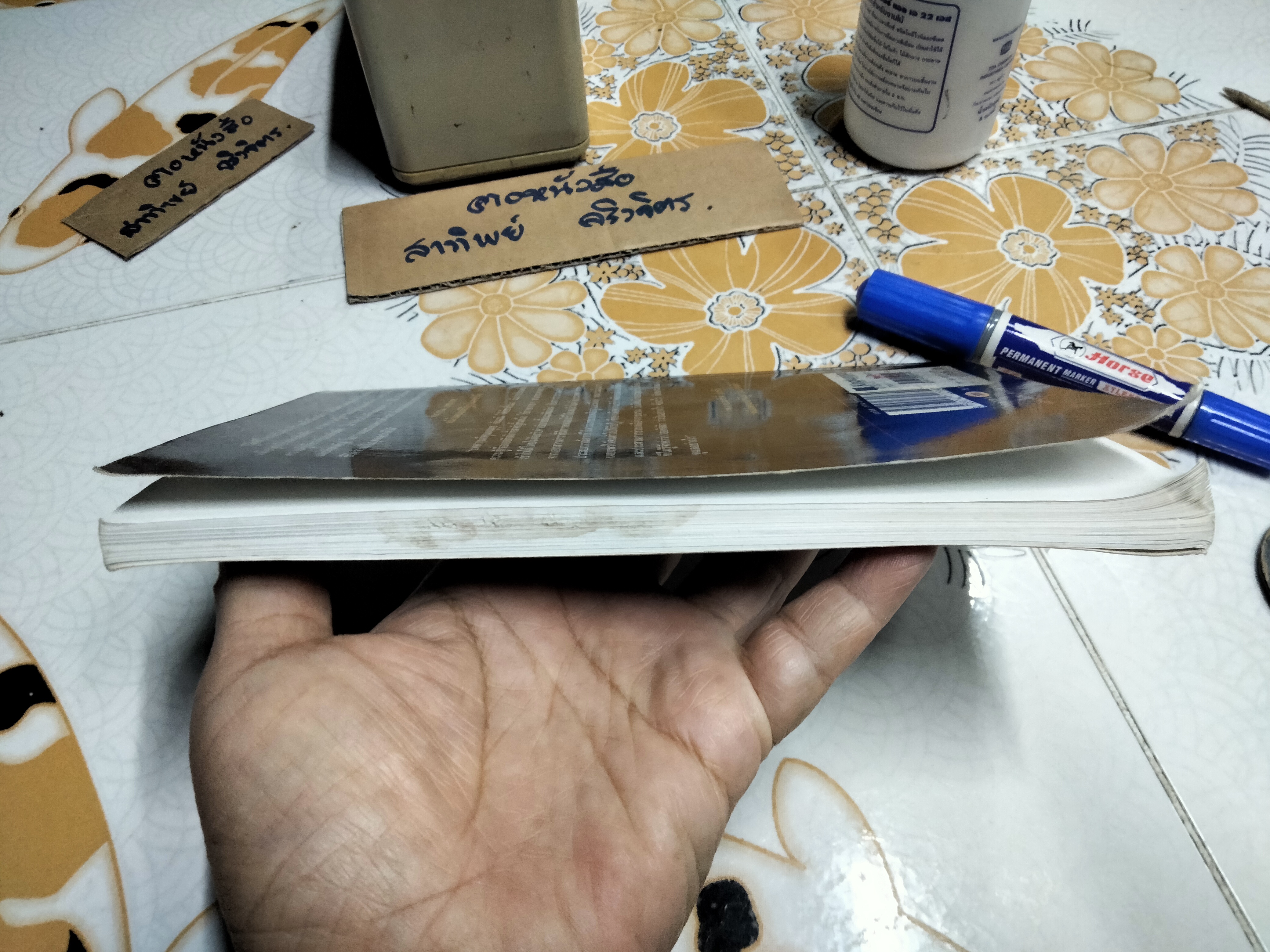 เมื่อลูกเป็นออทิสติก โดย ดนุนุช ตันมณี **สินค้าหมด**