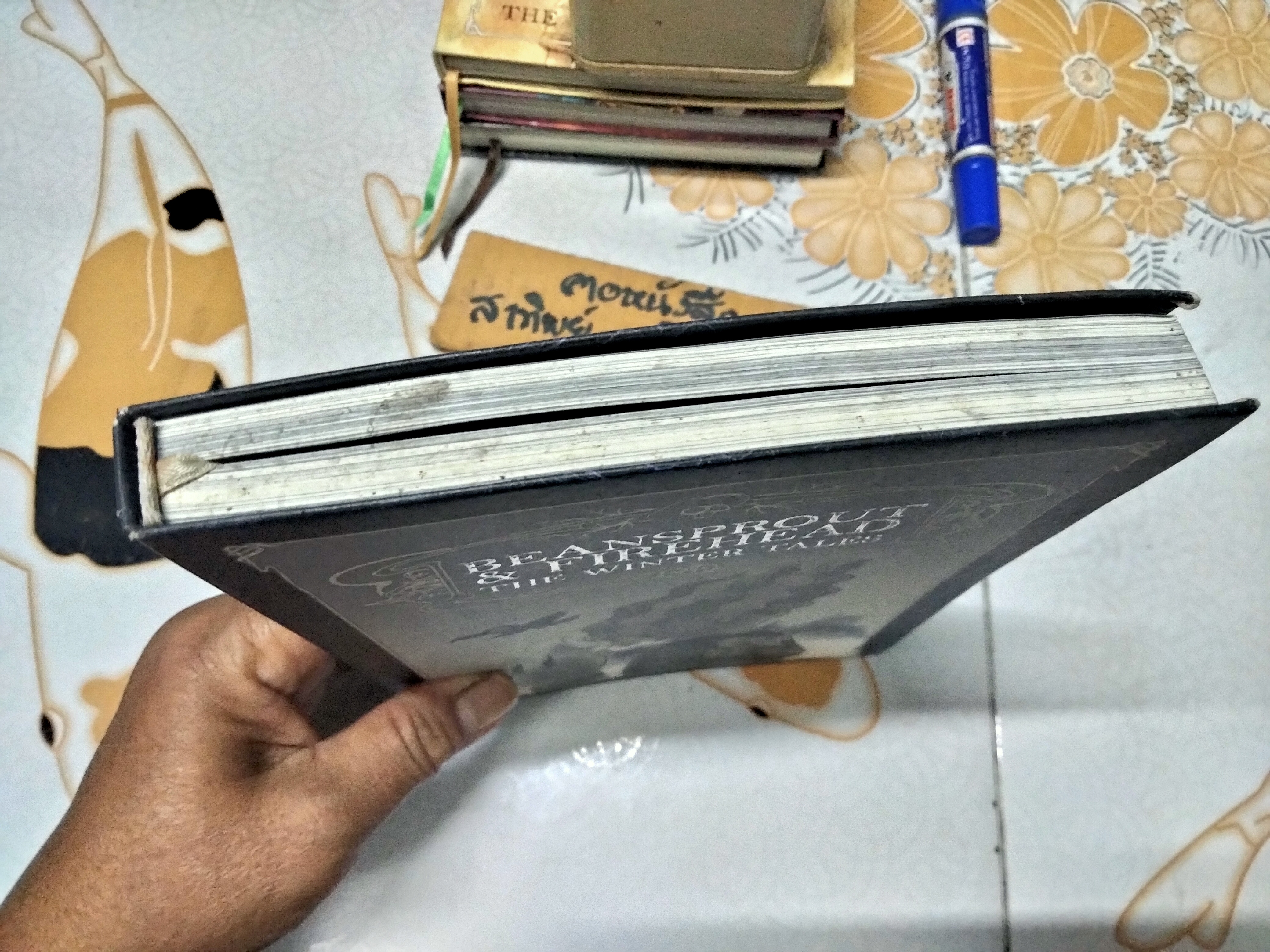 Beansprout & Firehead เล่ม III - The Winter Tales ถั่วงอกและหัวไฟ กับเรื่องเล่าฤดูหนาว