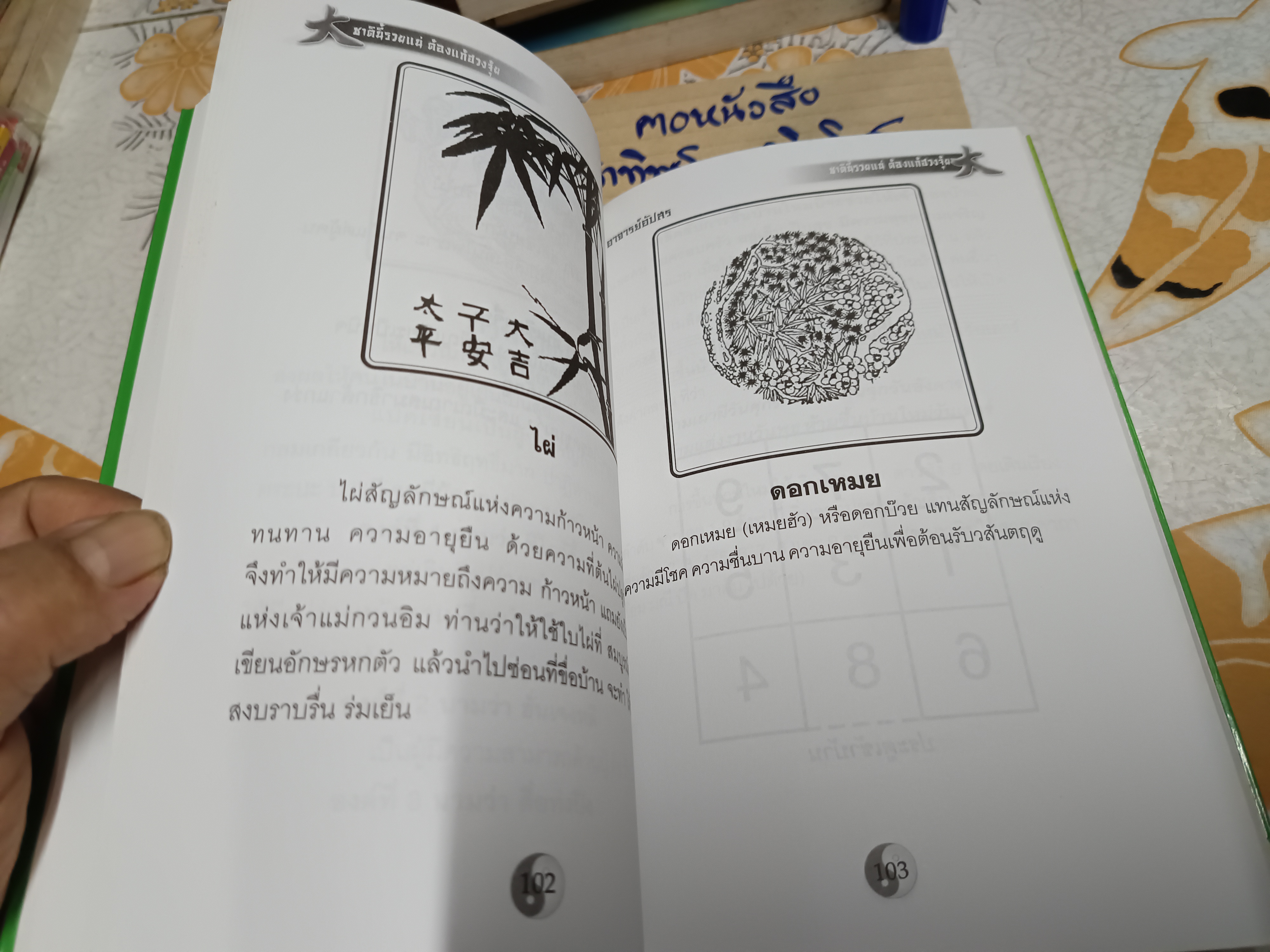 ชาตินี้ รวยแน่ ต้องแก้ ฮวงจุ้ย เรียบเรียงโดย อ.อัปสร