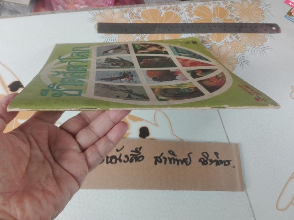 สมุดสะสมสติกเกอร์ ชีวิตสัตว์โลก (แปะครบ 240 รูป) ** สินค้าหมด**