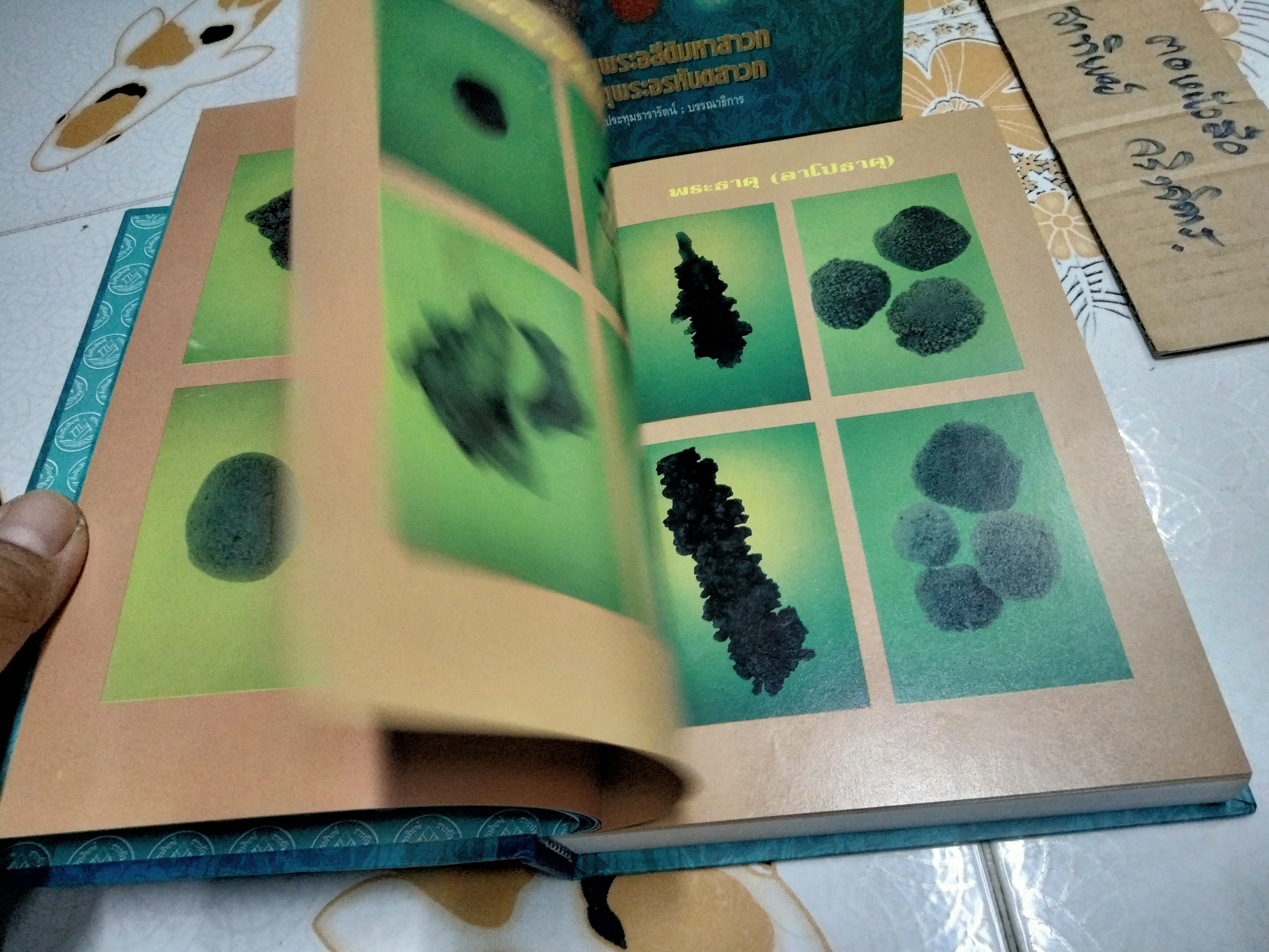 หนังสือ พระบรมสารีริกธาตุ (พร้อมกล่อง)-พระธาตุพระอสีติมหาสาวก-พระธาตุพระอรหันตสาวก โดย วิทยา ประทุมธารารัตน์ **สินค้าหมด**