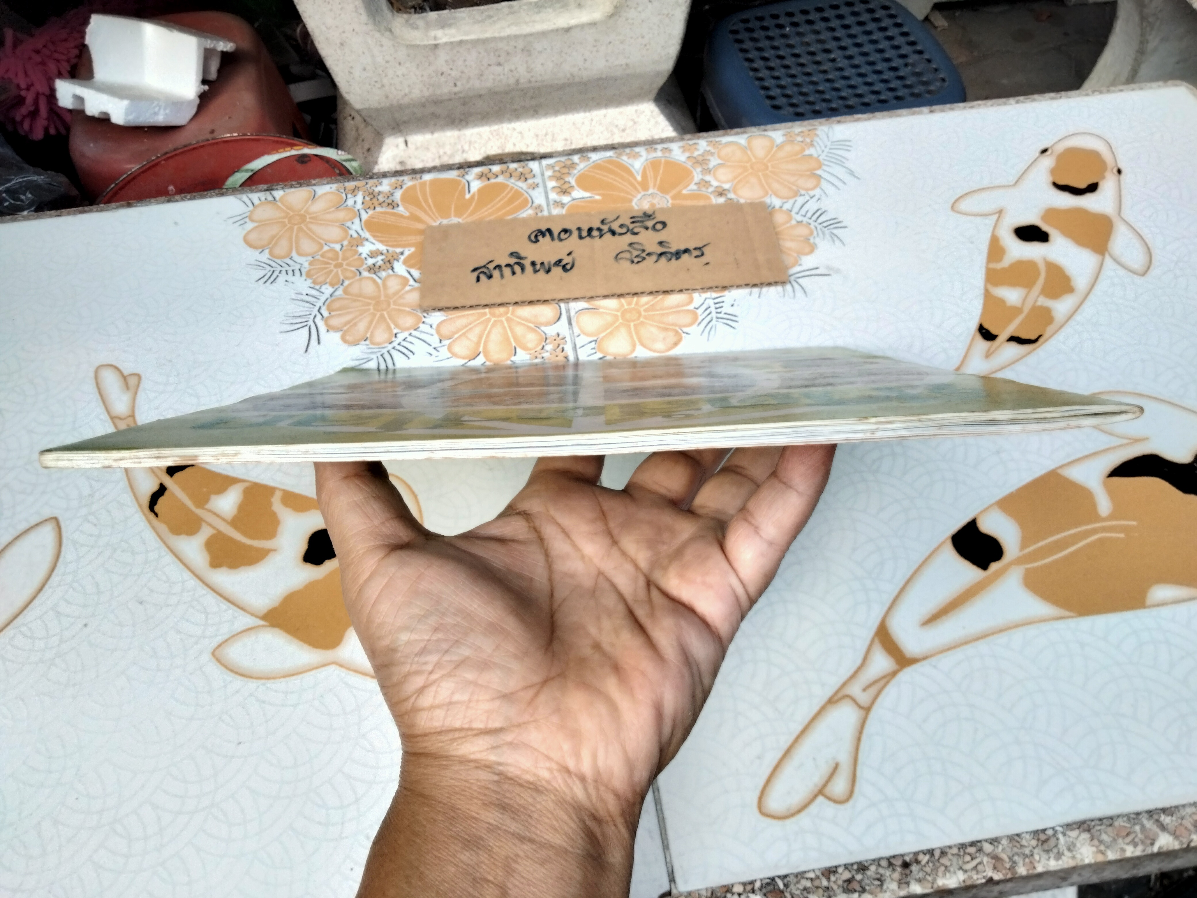 สมุดสะสมสติกเกอร์ ชีวิตสัตว์โลก (แปะสติกเกอร์ 178 รูป จากทั้งหมด 240 รูป) **สินค้าหมด**