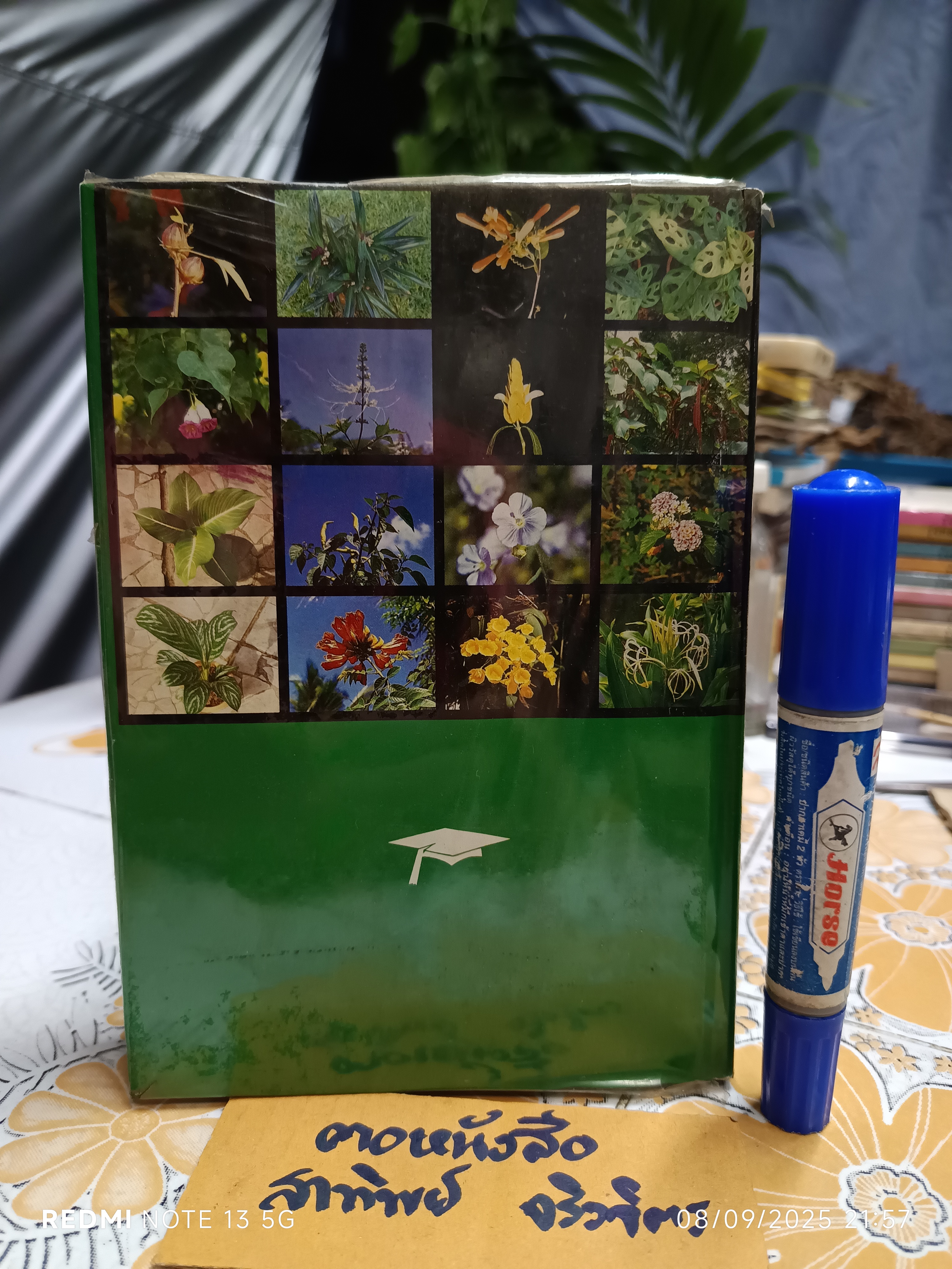 พจนานุกรม สมุนไพรไทย (ฉบับสรรพคุณยาไทย) โดย ดร.วิทย์ เที่ยงบูรณธรรม ฉบับพิมพ์ครั้งแรกพ.ศ 2532 สำนักพิมพ์รวมสาส์น