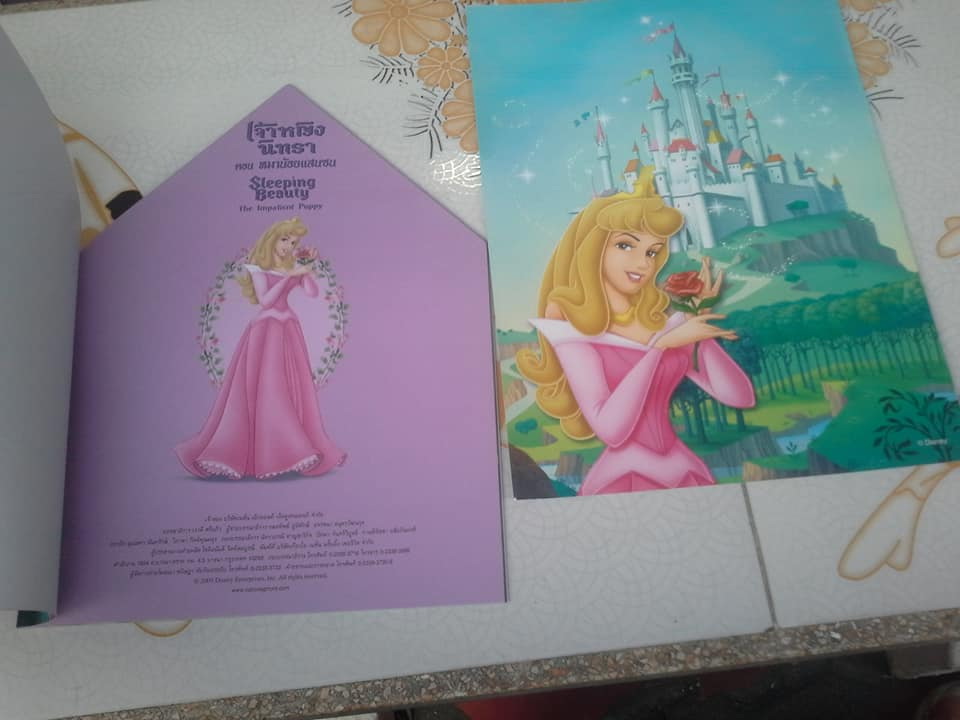 นิทานเจ้าหญิง ชุด Castle Books สองภาษา ไทย-อังกฤษ (ขายรวม 4 เล่ม) **สินค้าหมด**