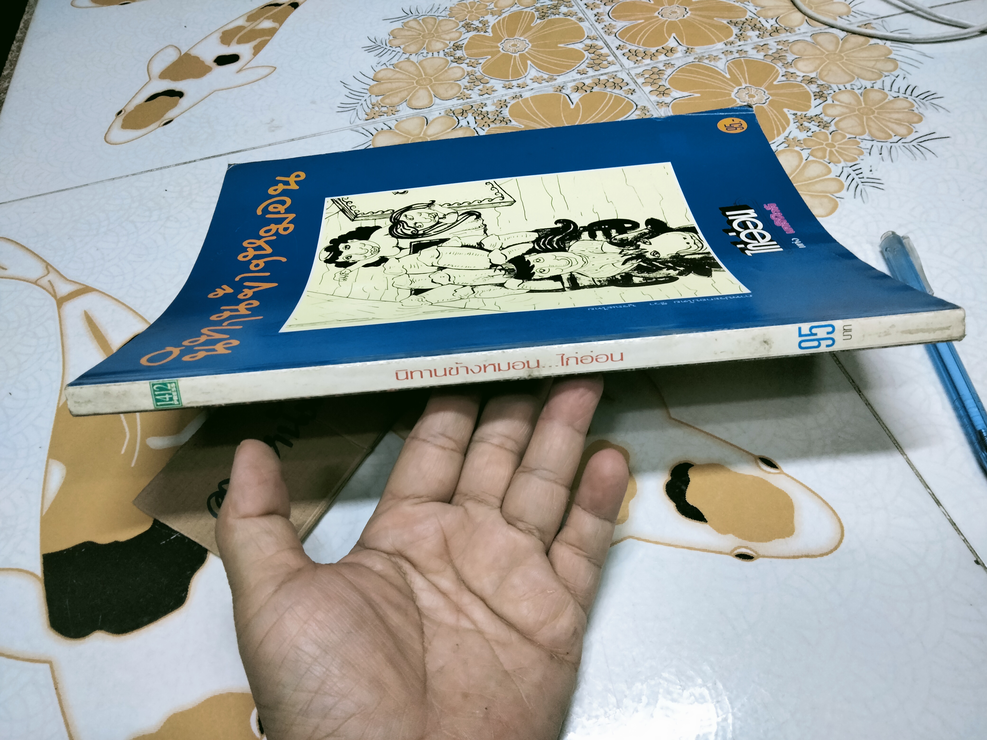 นิทานข้างหมอน โดยไก่อ่อน แห่งเดลินิวส์ รูปประกอบโดย ชีวา บูรณะไทย