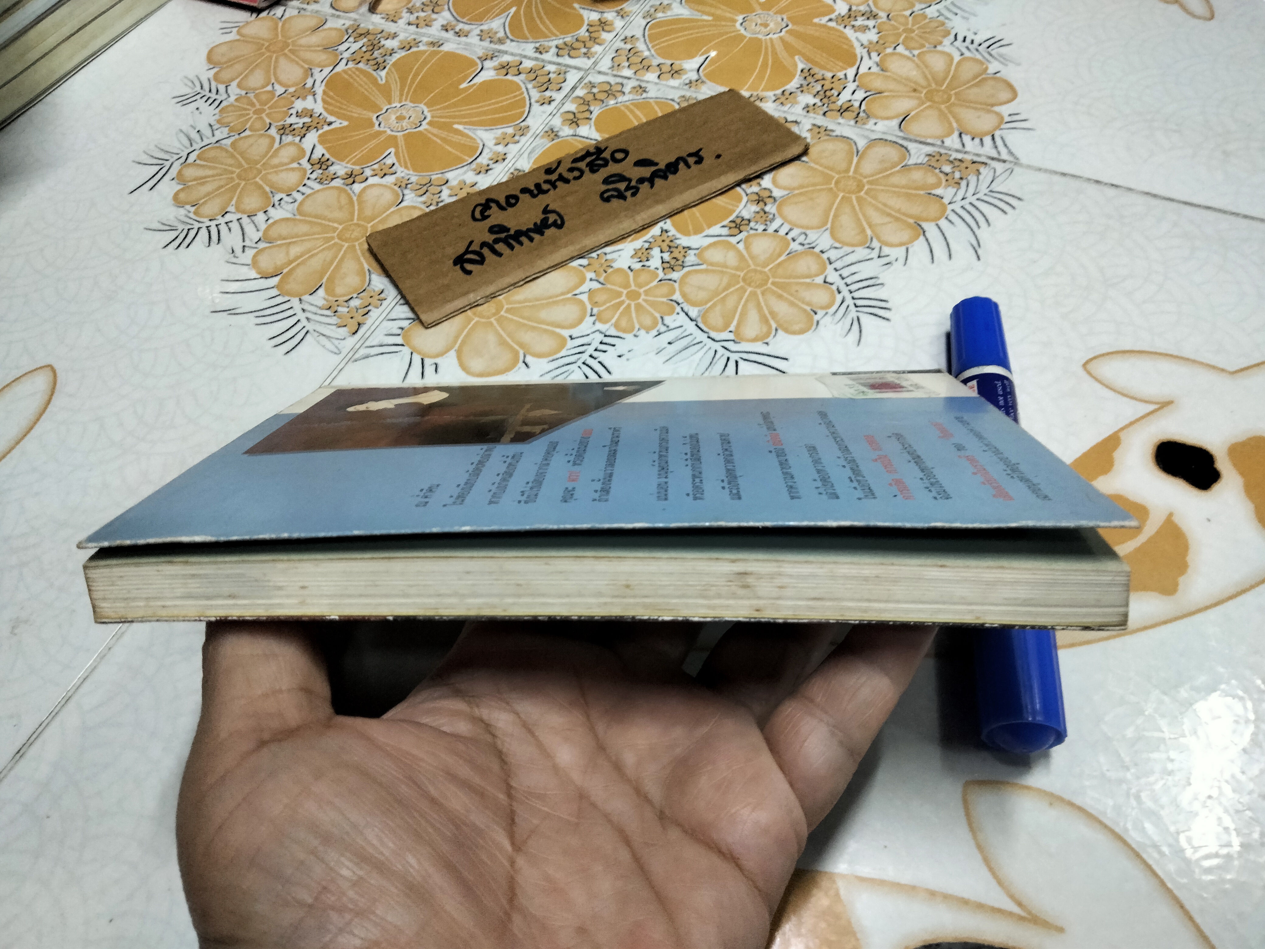 เสียงเรียกในราตรี โดย ใบหนาด (ณรงค์ จันทร์เรือง)