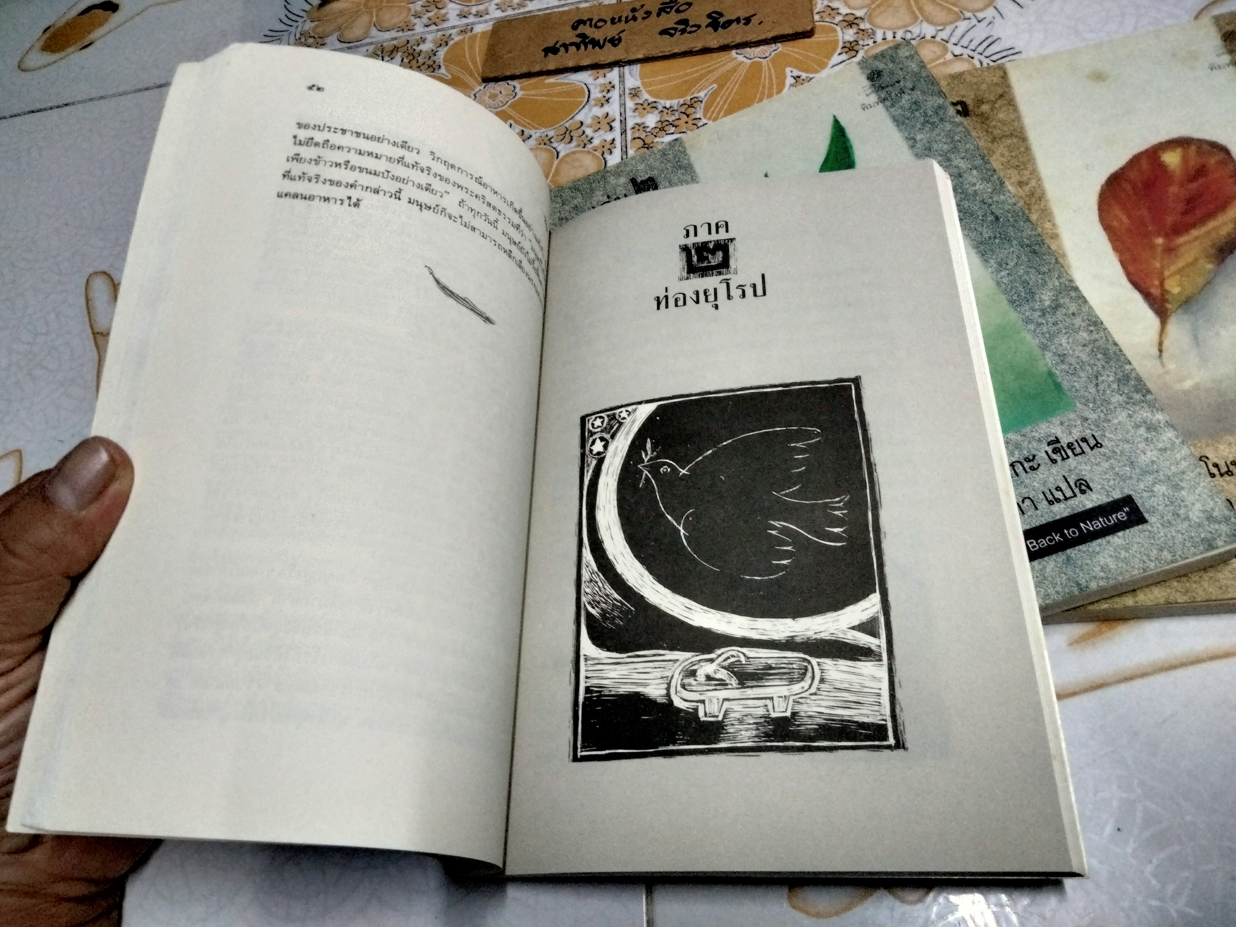 วิถีสู่ธรรมชาติ (ครบชุด 3 เล่ม) แปลจาก The Road Back to Nature มาซาโนบุ ฟูกูโอกะ เขียน นวลคำ จันภา แปล **สินค้าหมด**