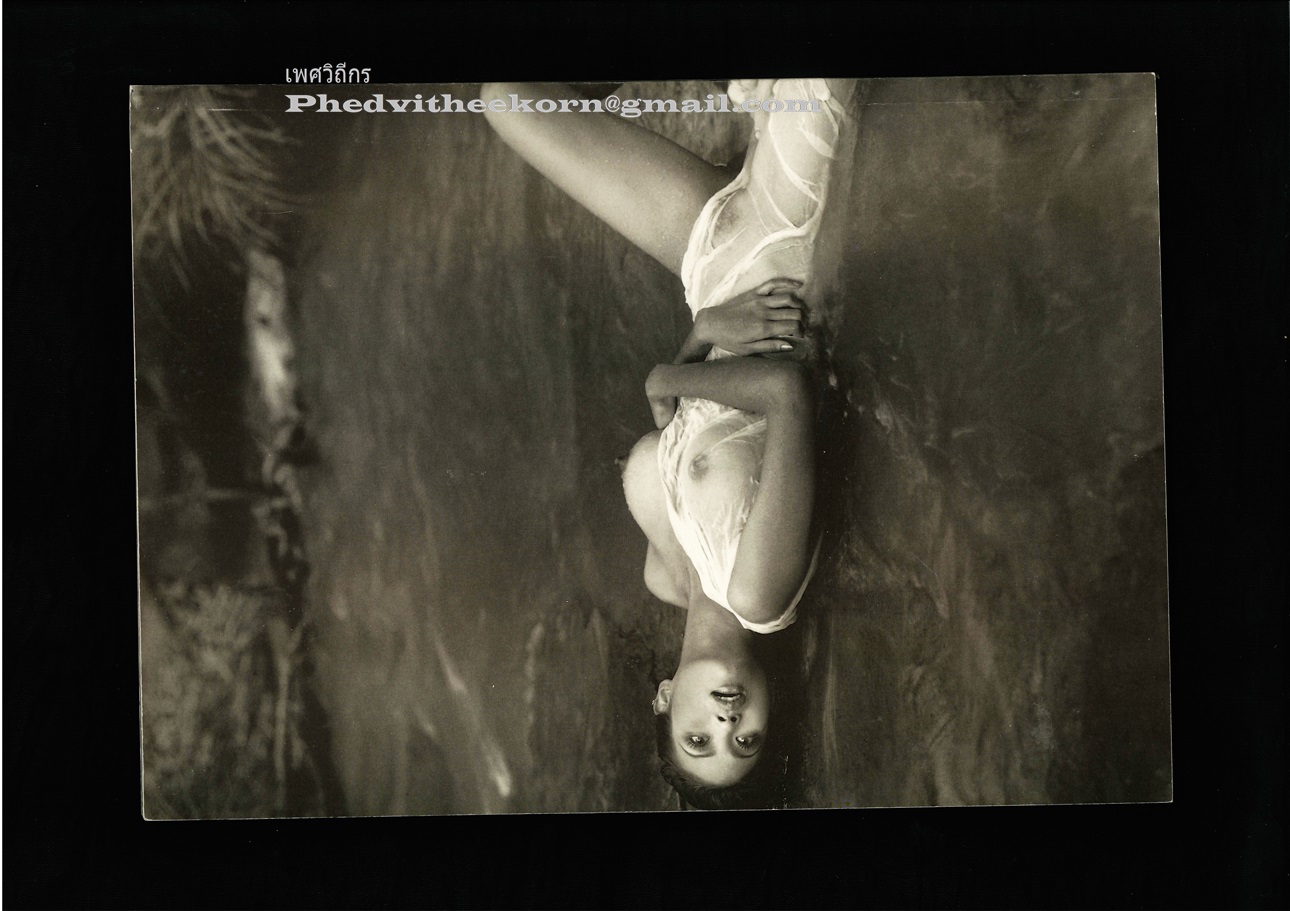 วีนัส.จูเนียร์ Venus.Junior Vol.4 โดยโหน่ง.วิทยา - Vol.4 ทับทิม.ทุ่งกุลา **หนังสือภาพด้านนี้ของไทยที่สวยเด่นระดับต้น**