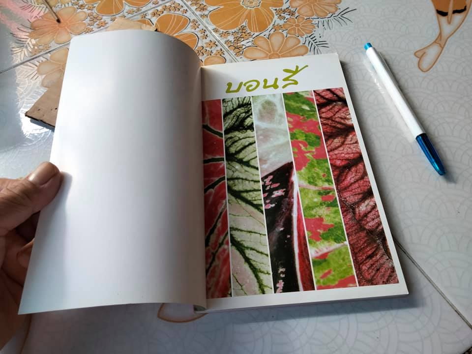 บอนสี - ร้อยพรรณพฤกษา โดย อ.เศรษฐมันตร์ กาญจนกุล พิมพ์ครั้งแรก พ.ศ.2550 **สินค้าหมด**