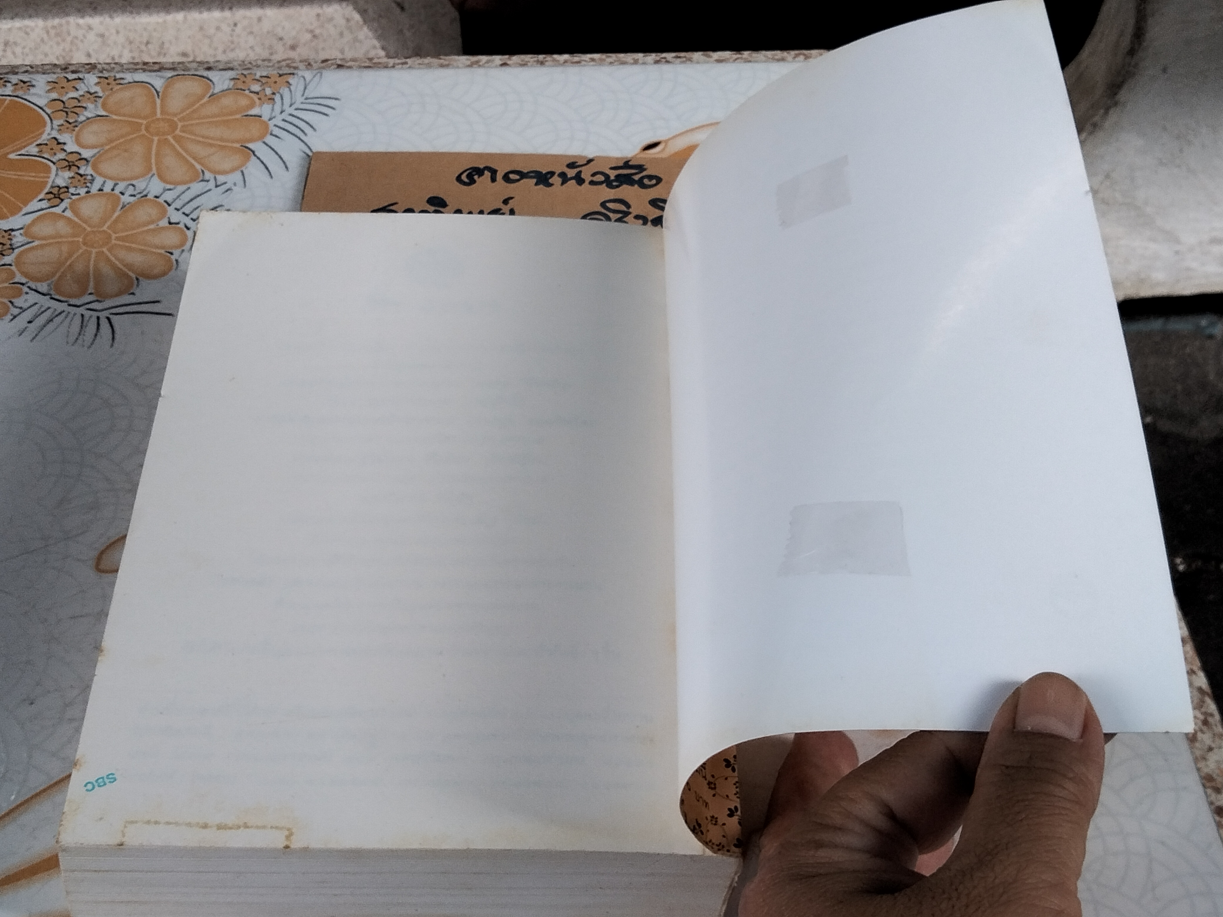 หลวงตา โดย แพรเยื่อไม้ - วรรณกรรมเรื่องสั้นยอดนิยมตลอดกาล **สินค้าหมด**