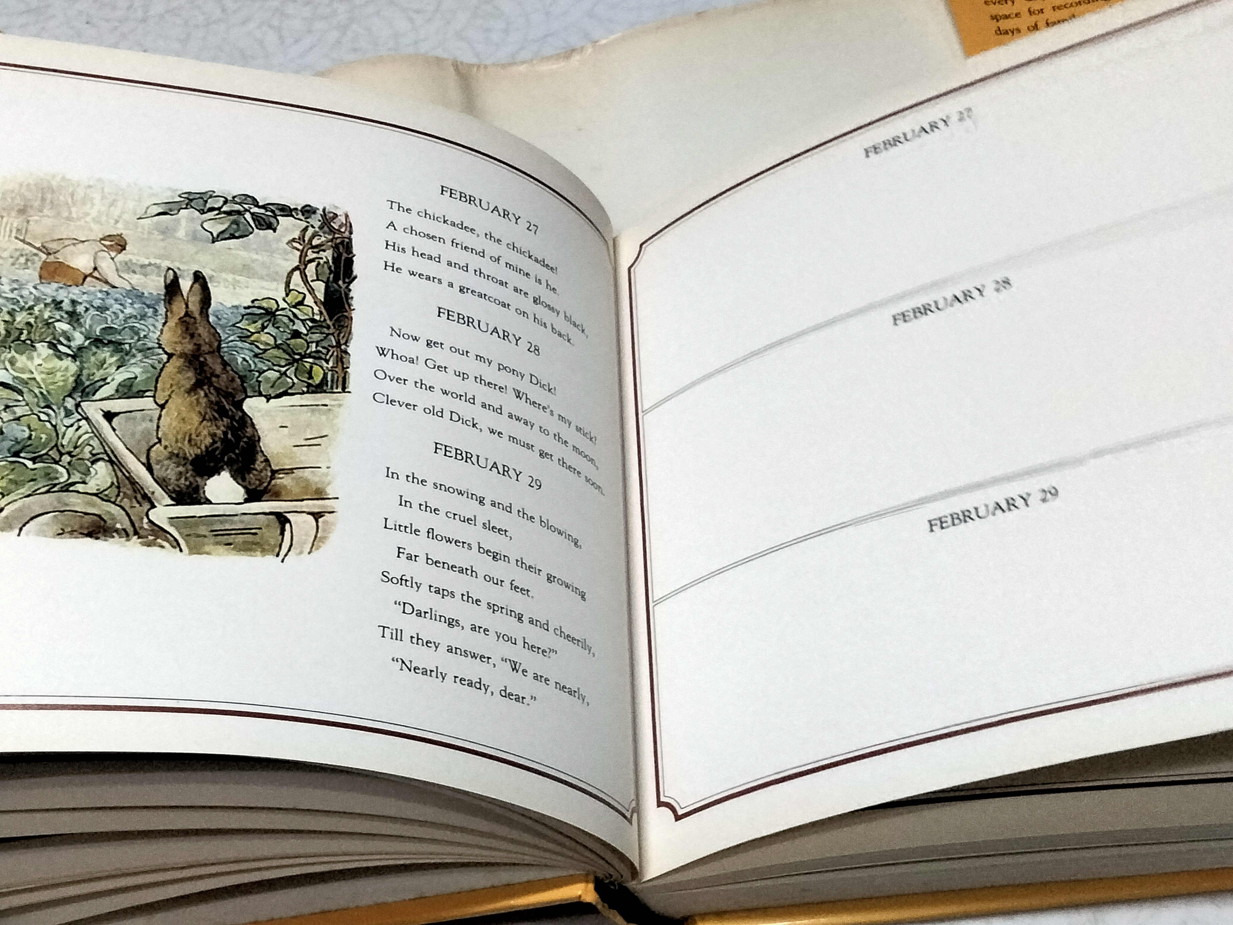 PETER RABBIT BIRTHDAY BOOK ILLUSTRATIONS BY BEATRIX POTTER