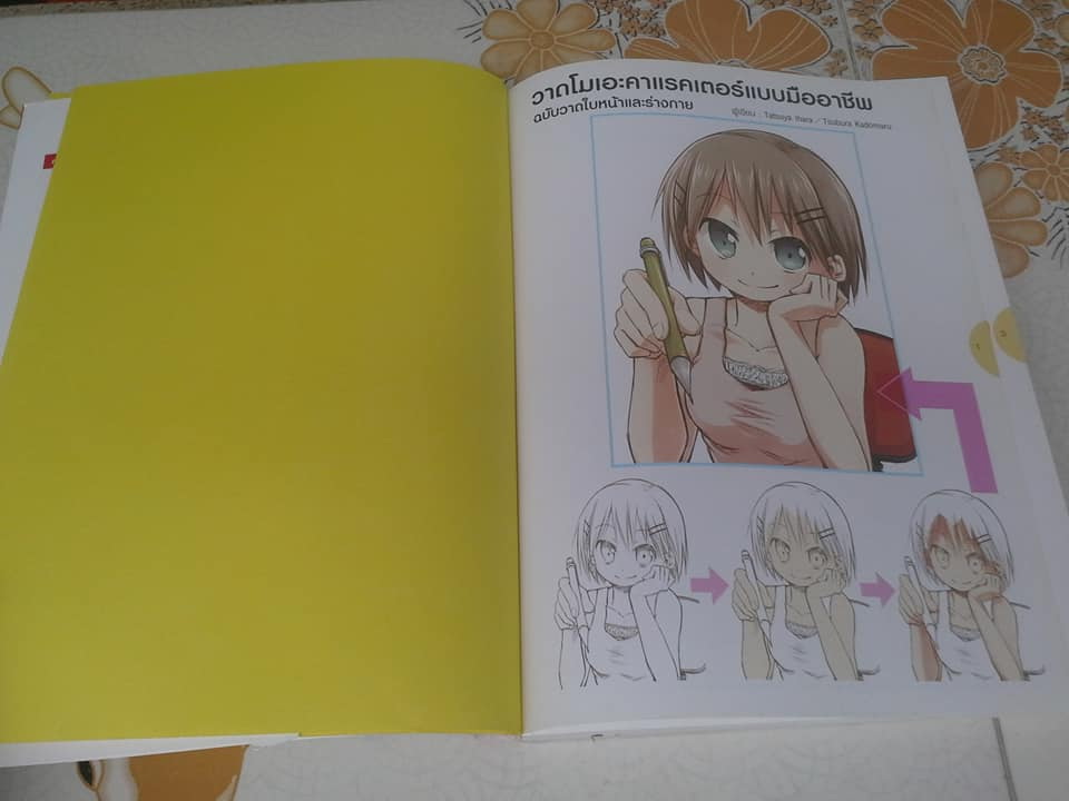 วาดโมเอะคาแรคเตอร์แบบมืออาชีพ ฉบับ วาดใบหน้าและร่างกาย **สินค้าหมด**