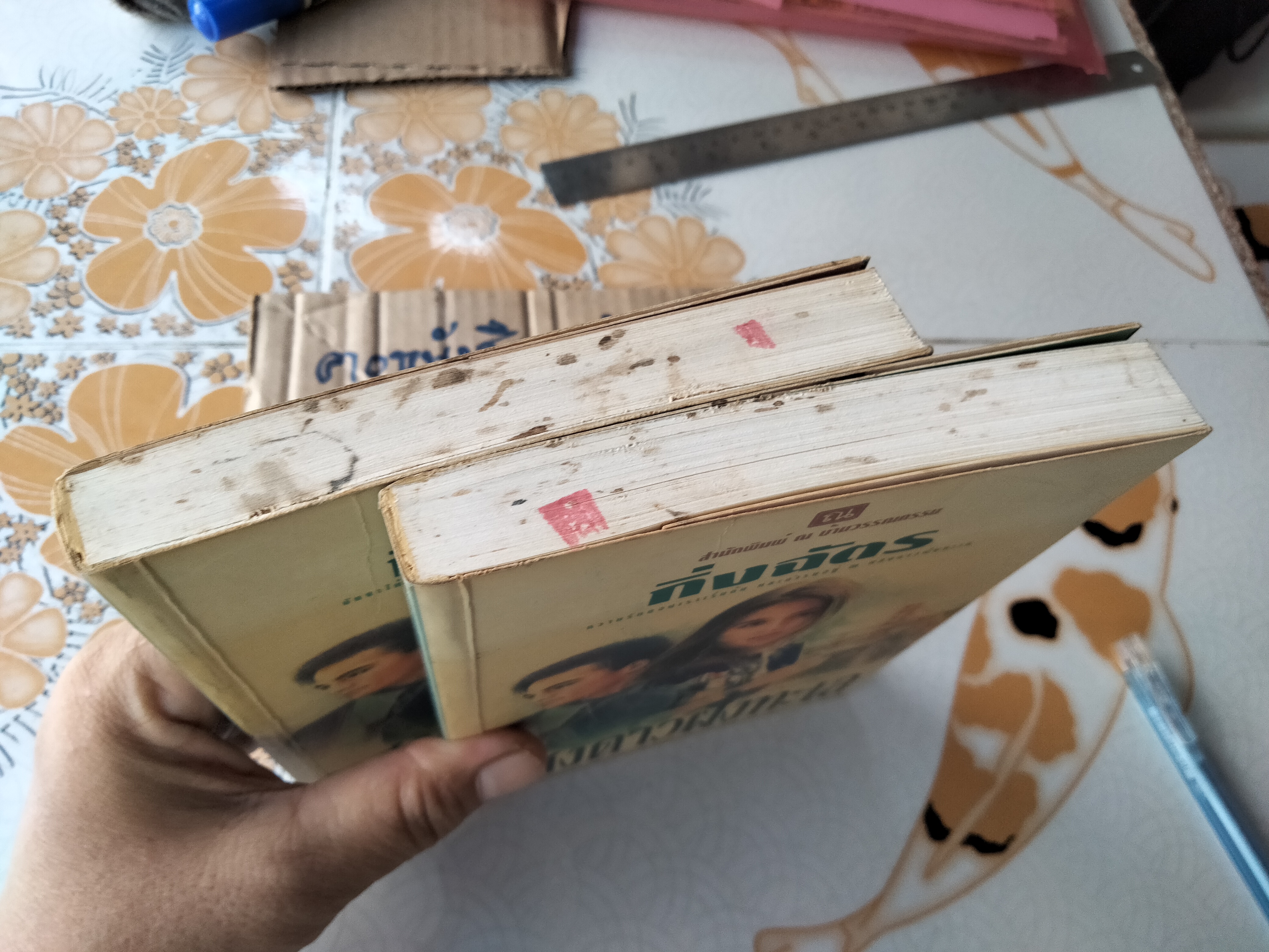 แสงดาวฝั่งทะเล (2 เล่มจบ) กิ่งฉัตร - มีตำหนิตามที่แจ้ง **สินค้าหมด**