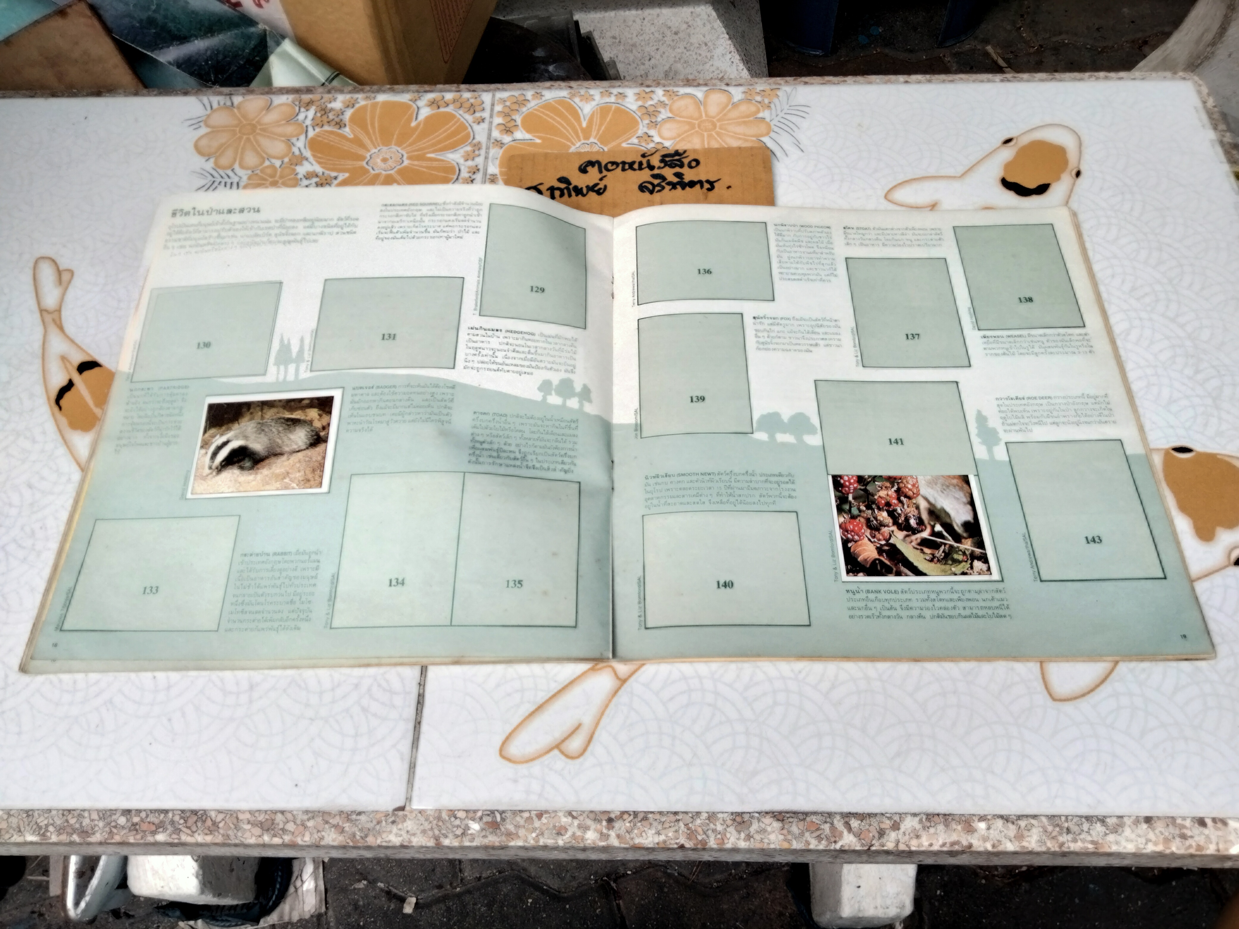 สมุดสะสมสติกเกอร์ ชีวิตสัตว์โลก (แปะไป 66 รูป/ 240 รูป)