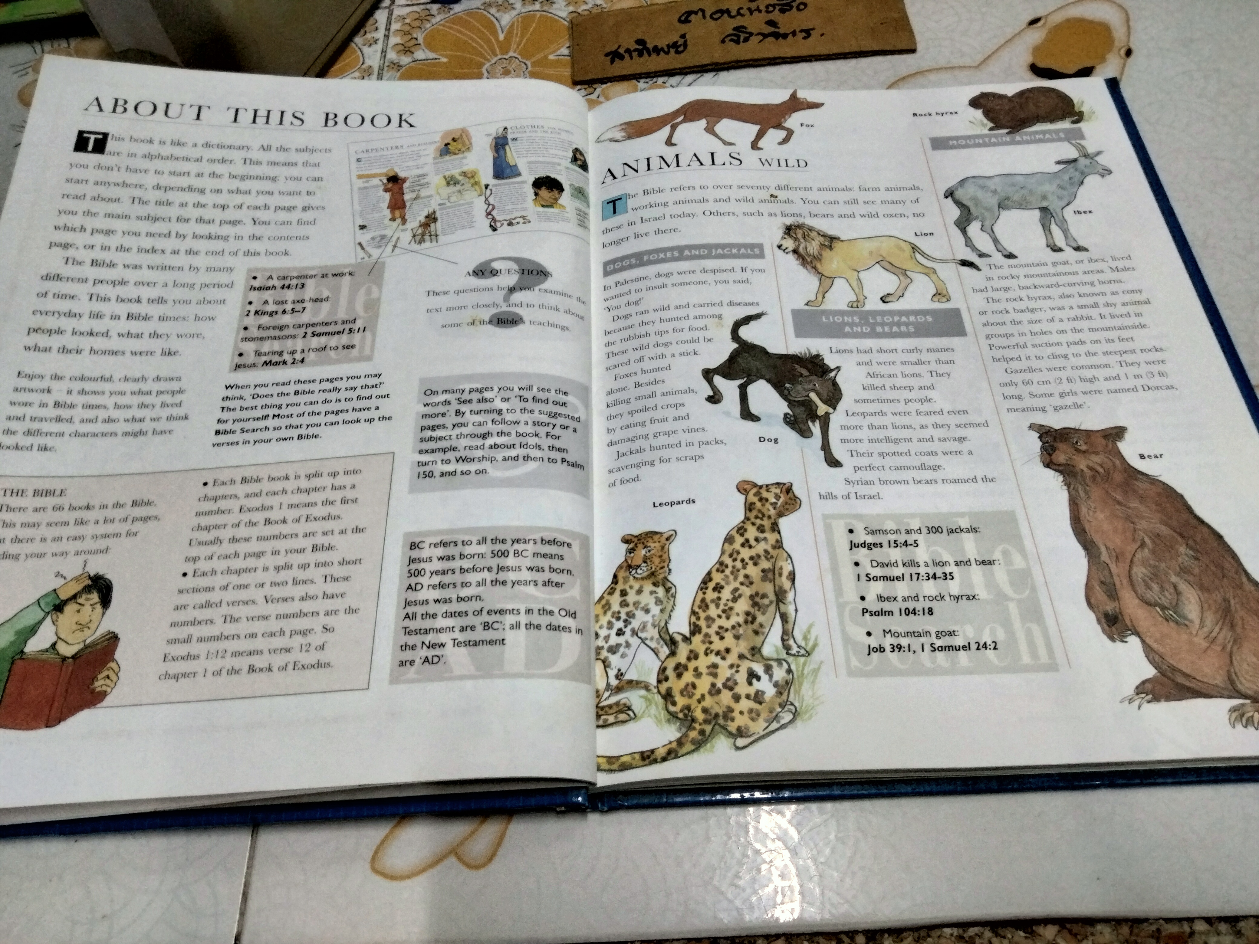 The Children's Encyclopedia of Bible Times by Mark Water พิมพ์ปี 1995