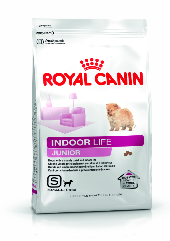 Royal Canin Indoor life Junior 500g