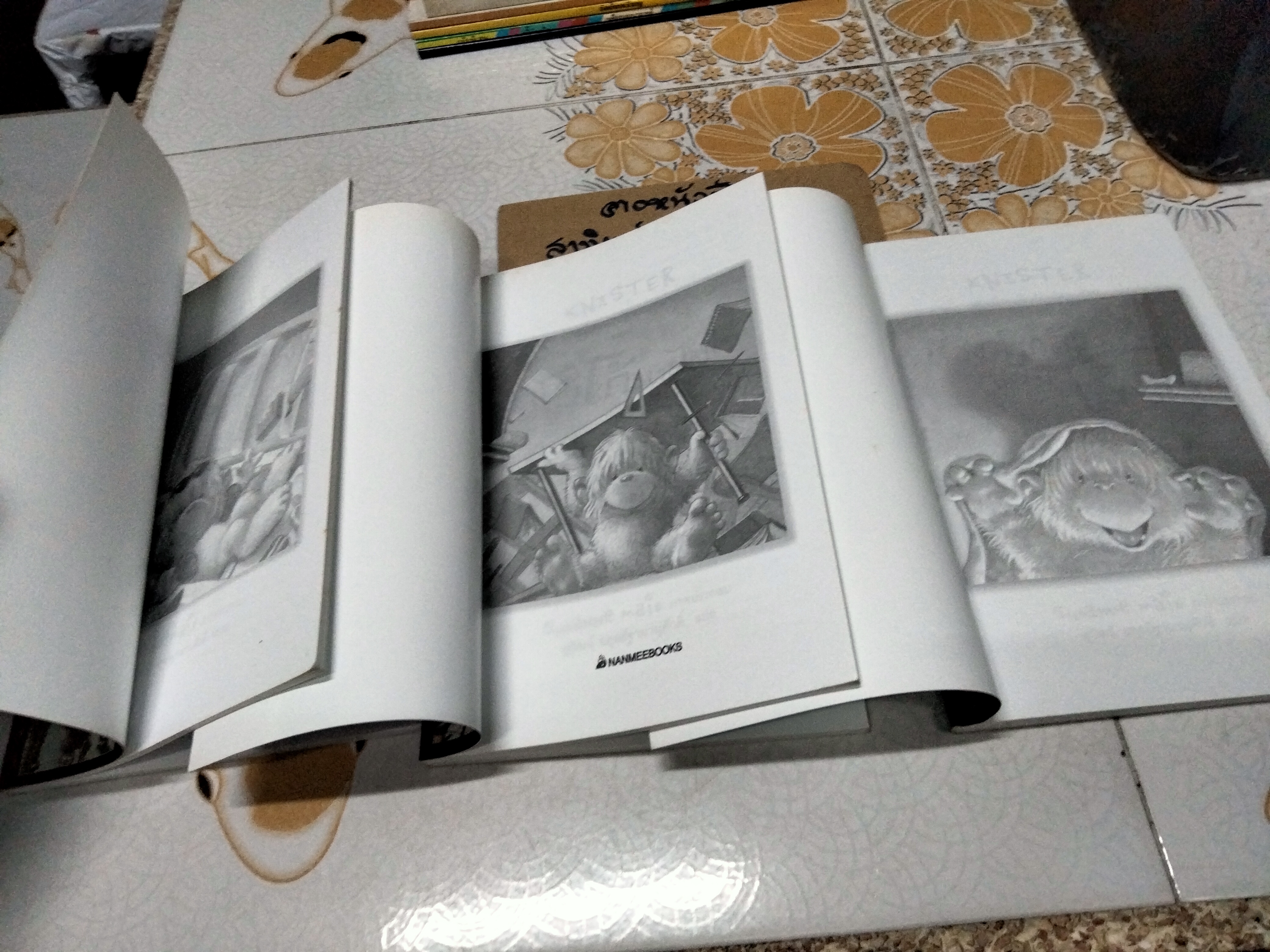 หนังสือชุดเพื่อนรักตัวประหลาด (3 เล่มชุด) - วรรณกรรมเยาวชนจากเยอรมัน , KNISTER เขียน - สุวัฒน์ อดุลย์ฐานานุศักดิ์ แปล