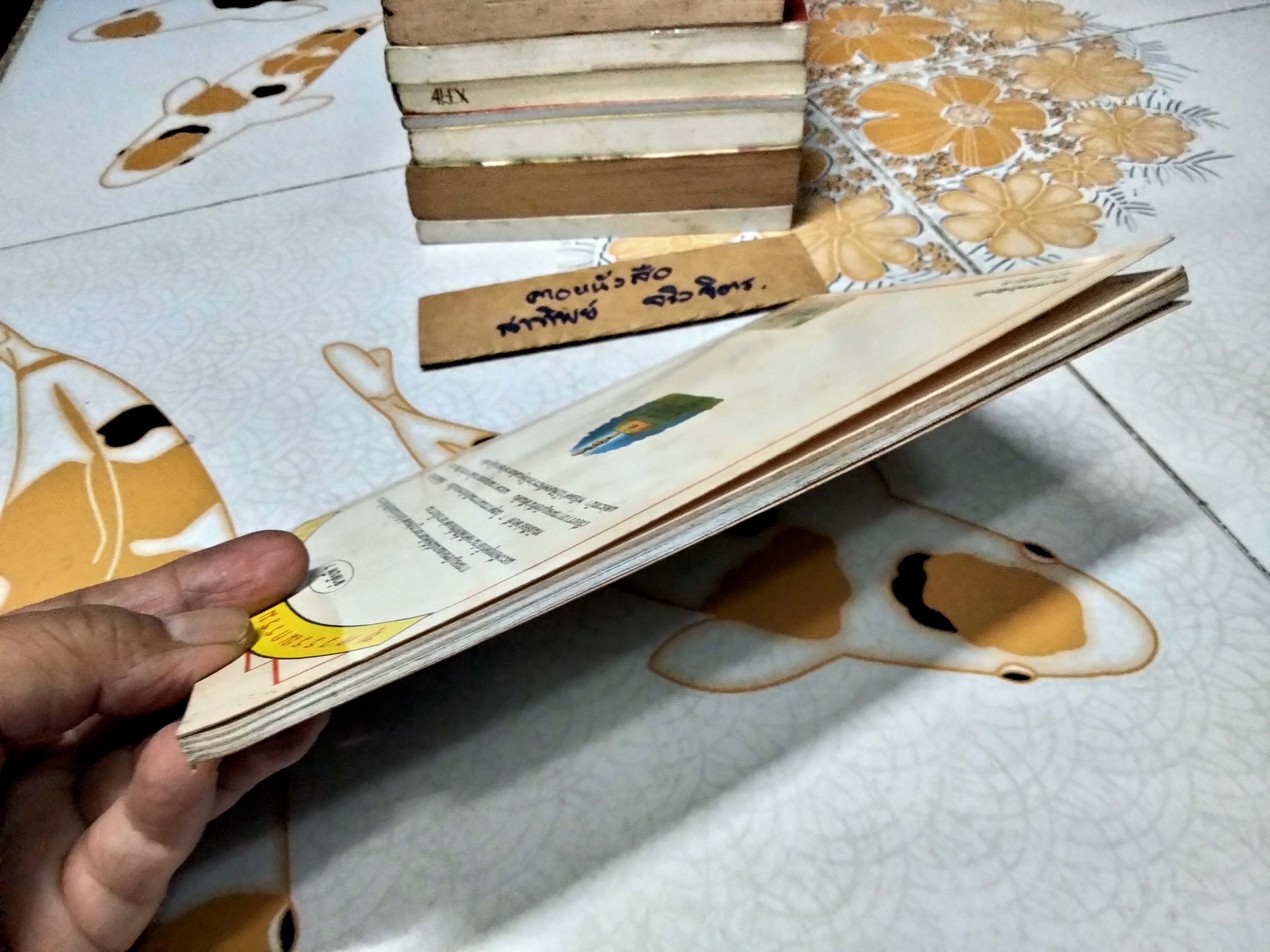 คำสาปเทวรูป ชุดวรรณกรรมลึกลับซ่อนเงื่อน โดย เกบี วอเตอร์ส ภาพประกอบ : เกรแฮม ราวน์ด แปล : กรองทอง ชวลิตธำรงค์ **สินค้าหมด**