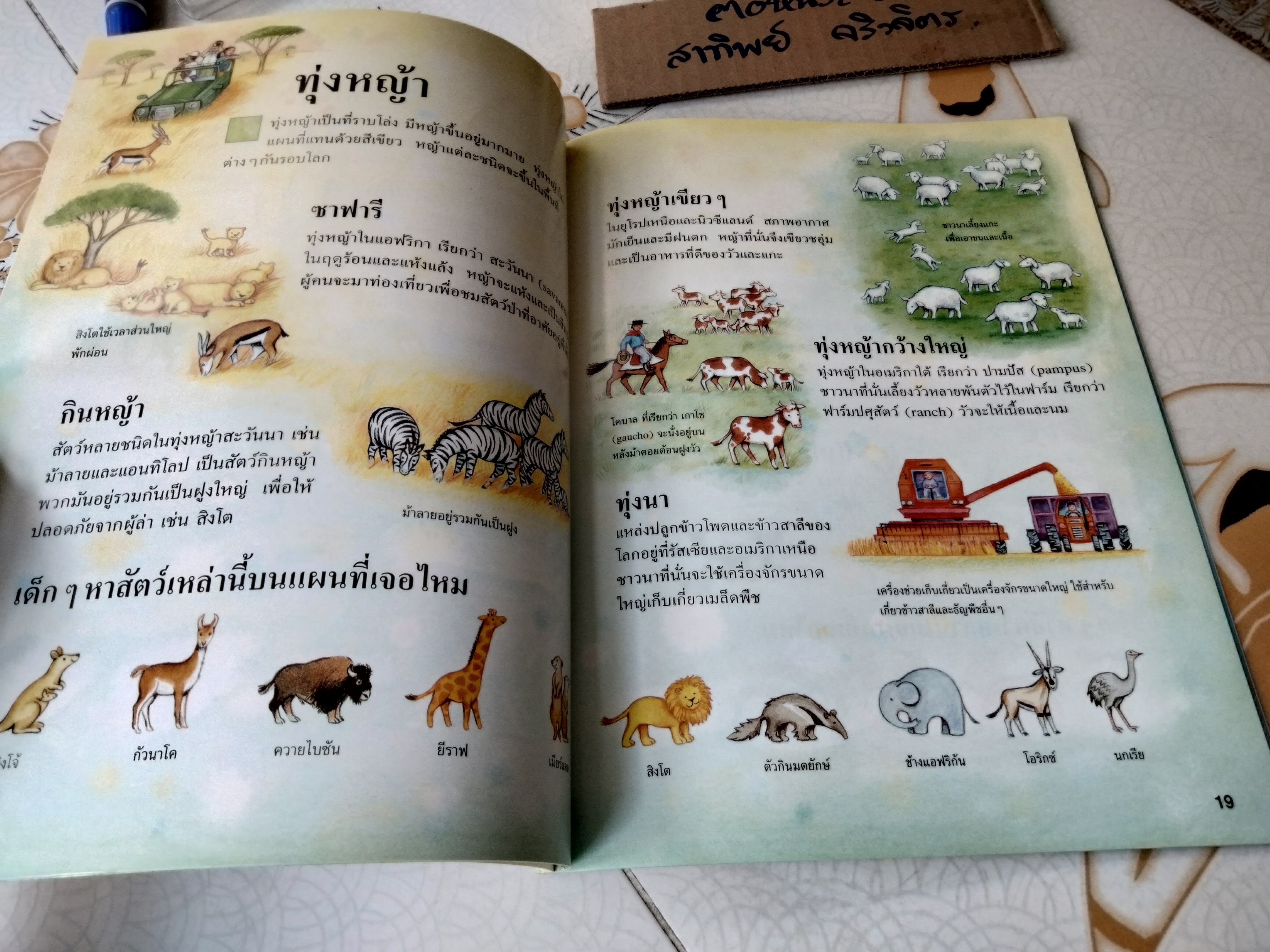 แผนที่โลกสำหรับเด็ก พาหนูน้อยสำรวจโลก Ruth Brocklehurst เขียน - ศุภวัลย์ ตันวรรณรักษ์ แปล **สินค้าหมด**