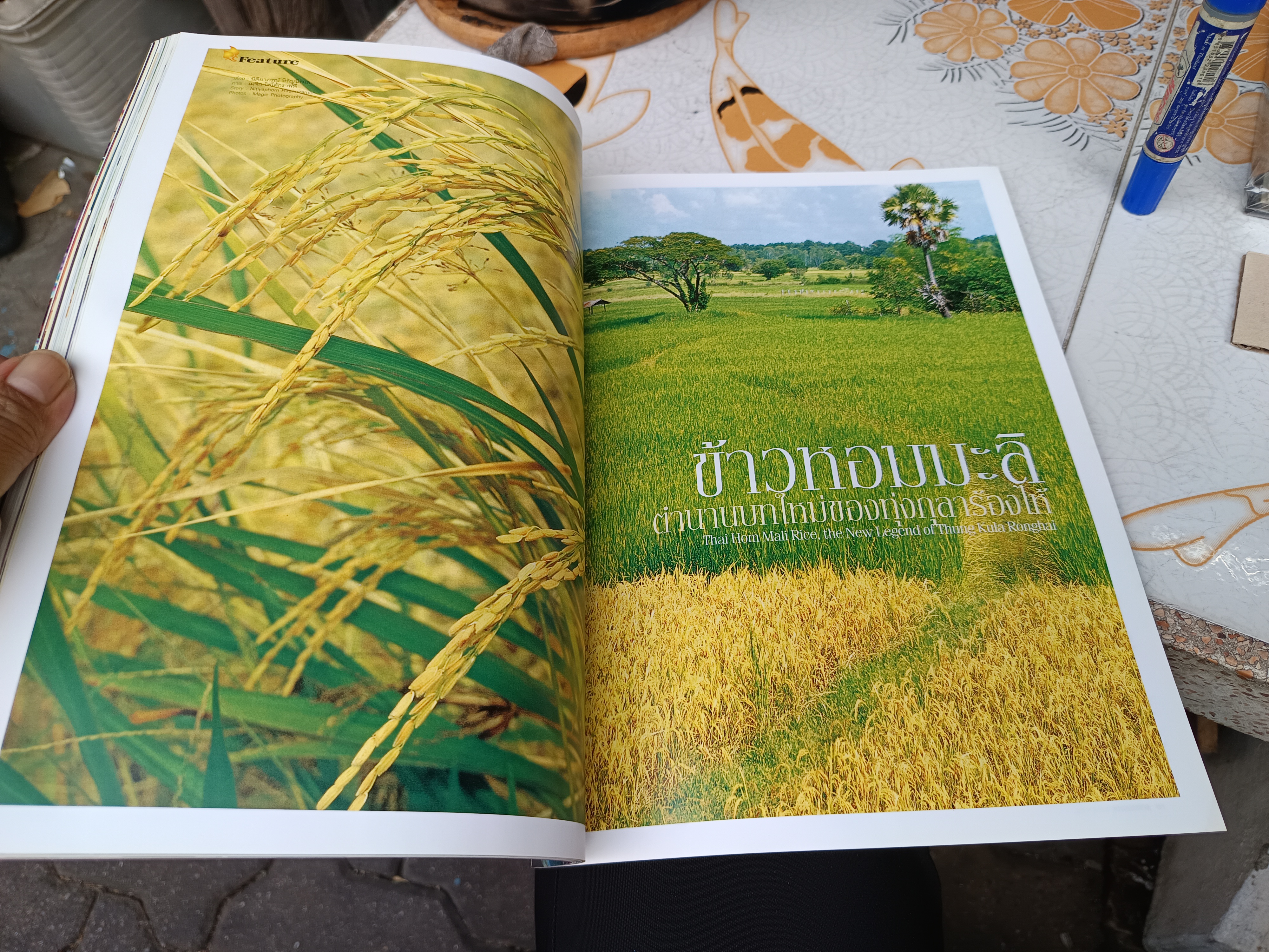 นิตยสารกินรี Kinnaree / ปีที่ 21 ฉบับที่ 7 July 2004 / Traditional Thai design on SA paper