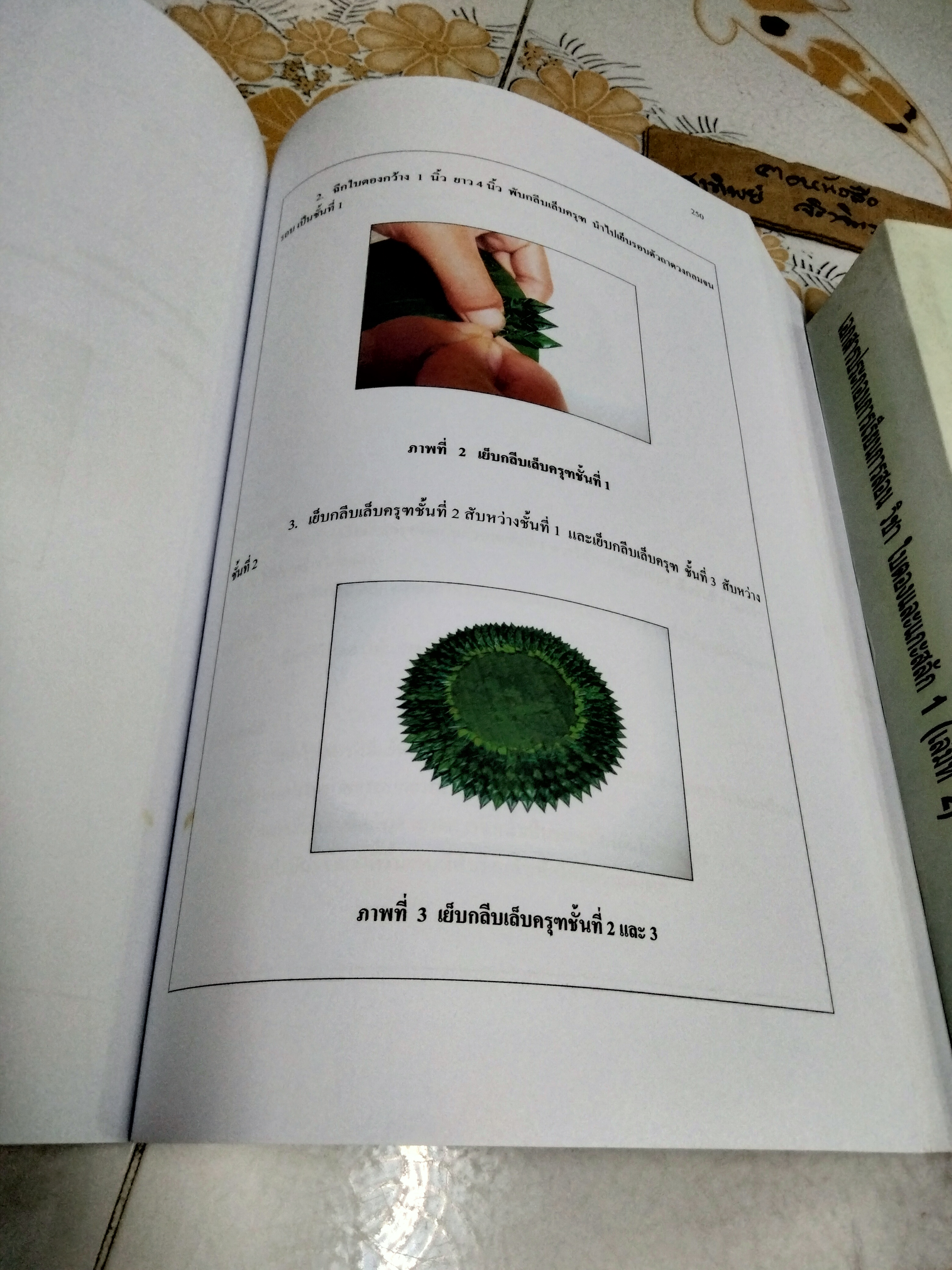 เอกสารประกอบการเรียนการสอน วิชา ใบตองและแกะสลัก 1 (เล่ม 1- 2) โดย นายวิเชียร ธรรมเภรี /ครูชำนาญการ สาขาวิชาคหกรรมศาสตร์ วิทยาลัยอาชีวศึกษาอุดรธานี