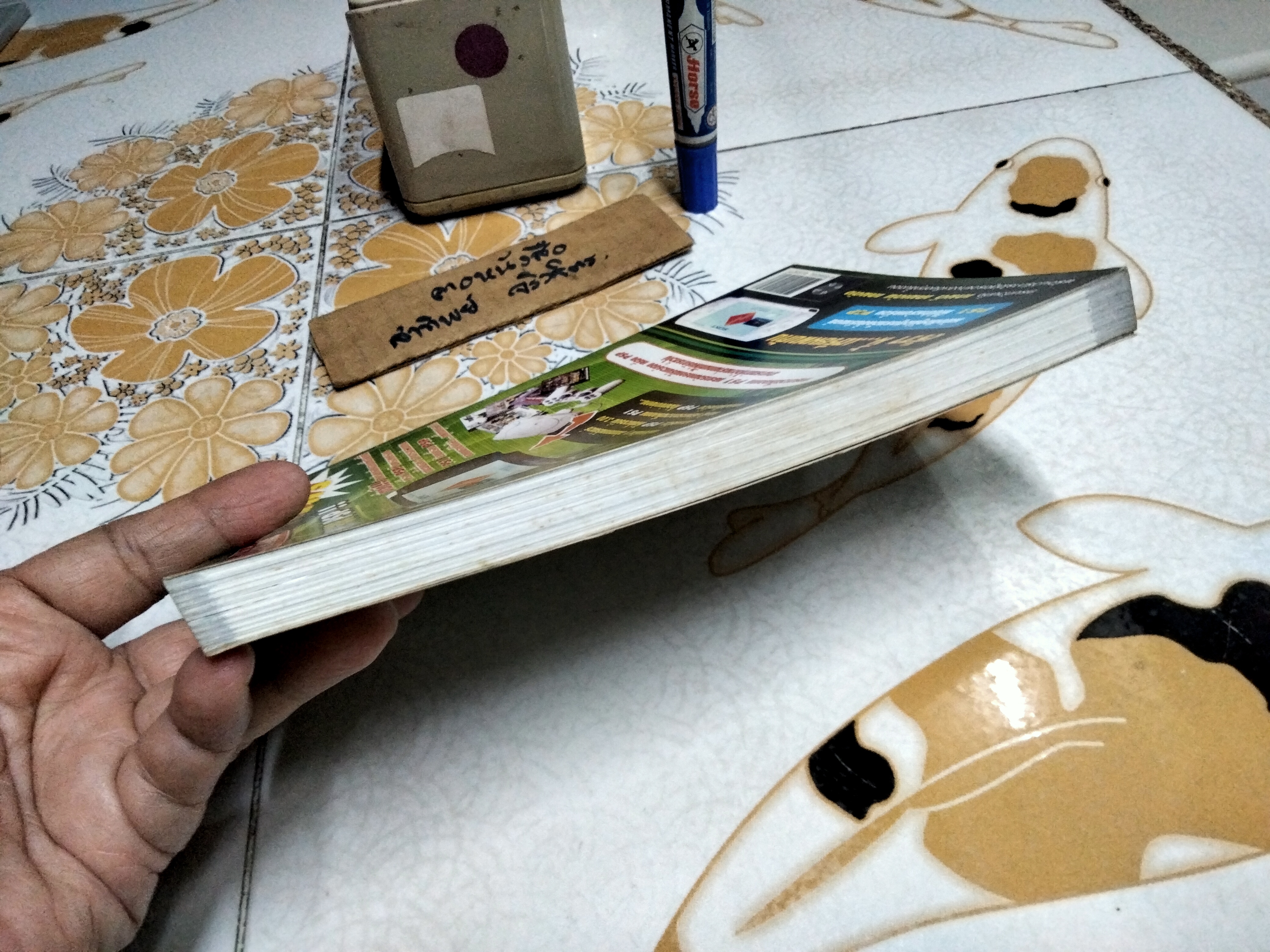 คู่มือเฉลยเกม Ar tonelico : Melody of Elemia