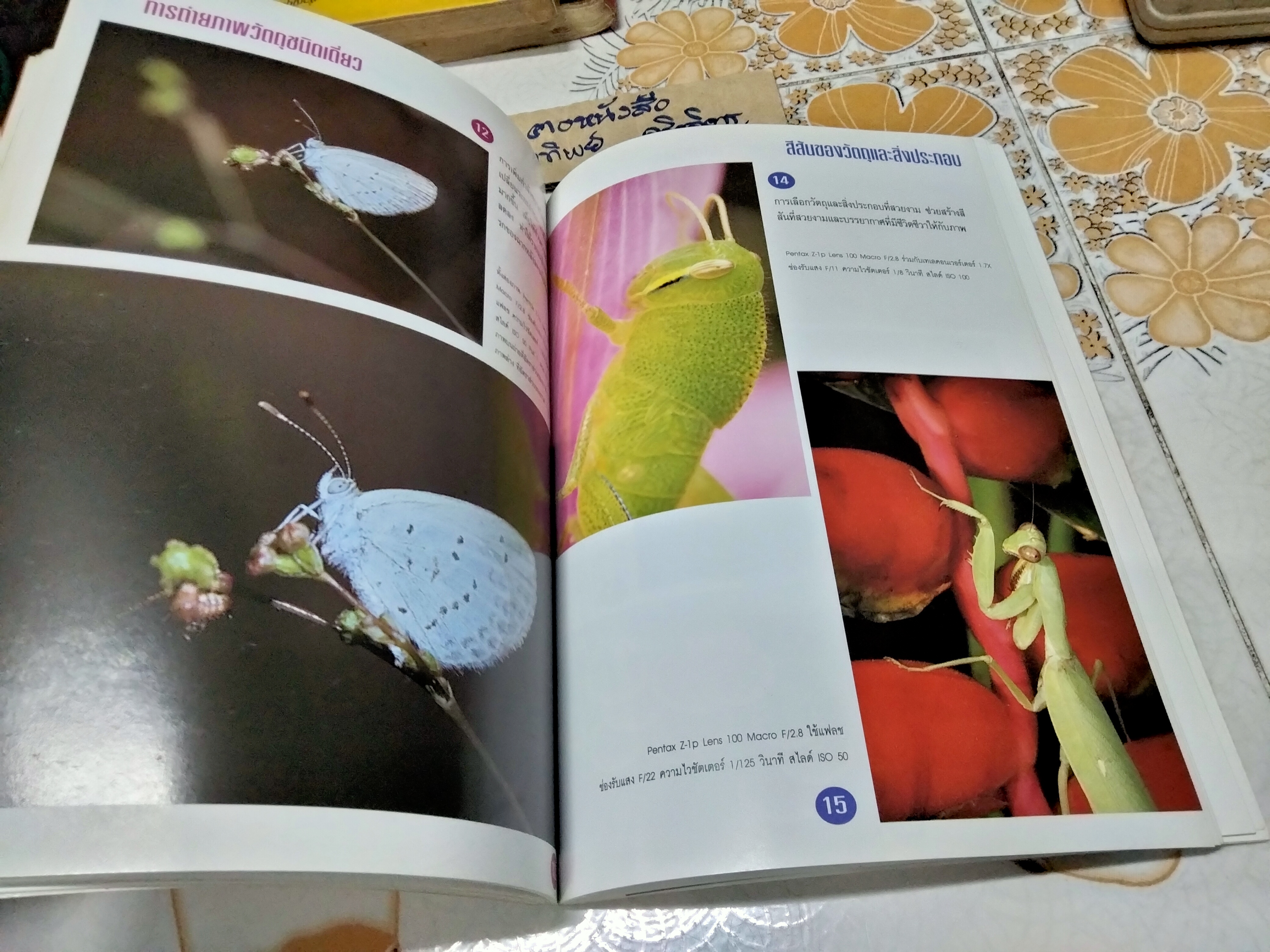 วิชาการ เทคนิค และเคล็ดลับ การถ่ายภาพมาโครฉบับสมบูรณ์ โดย สุรเดช วงศ์สินหลั่ง