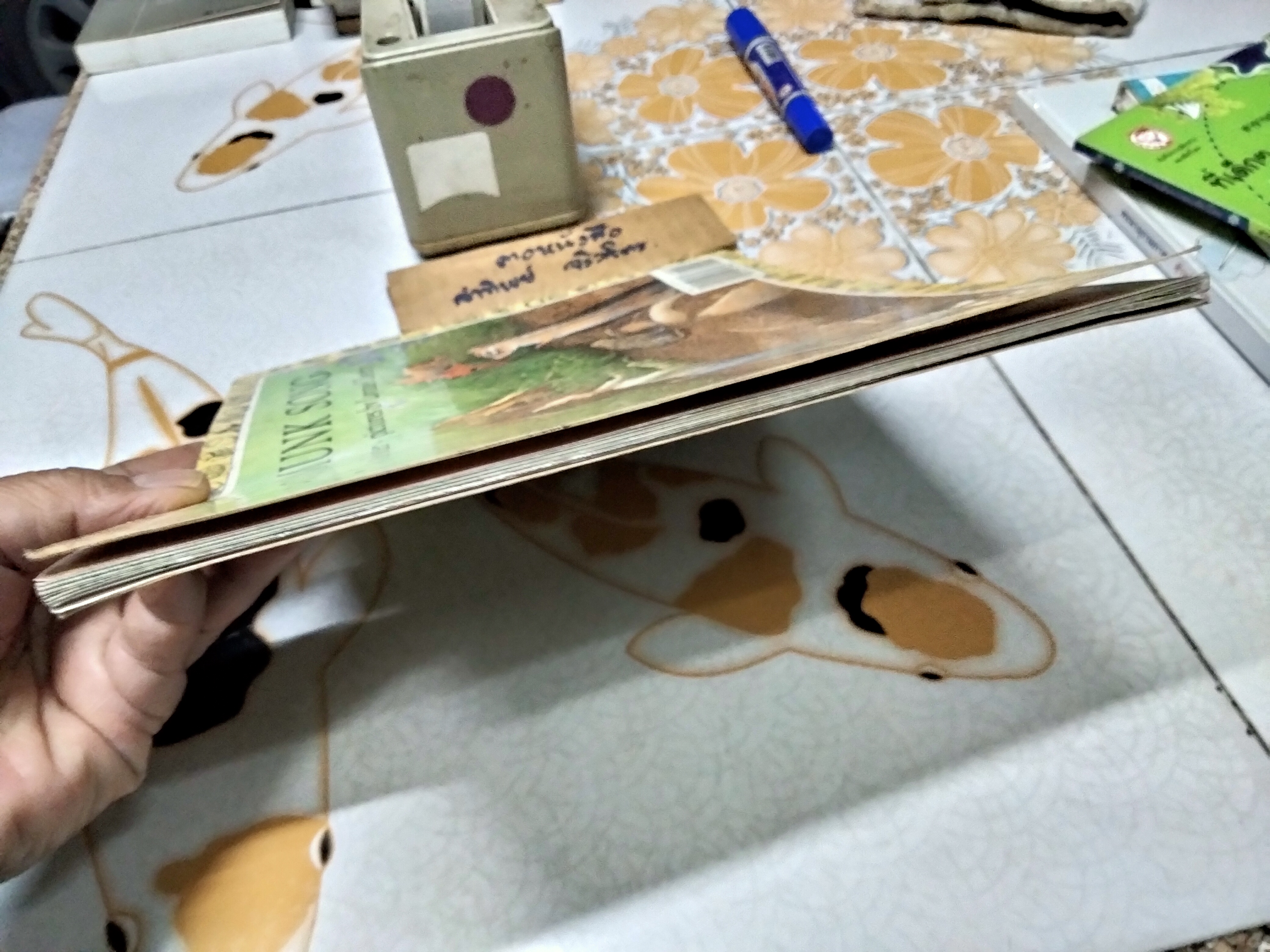 Chipmunk Song by Joanne Ryder Pictures by Lynne Cherry, 1990