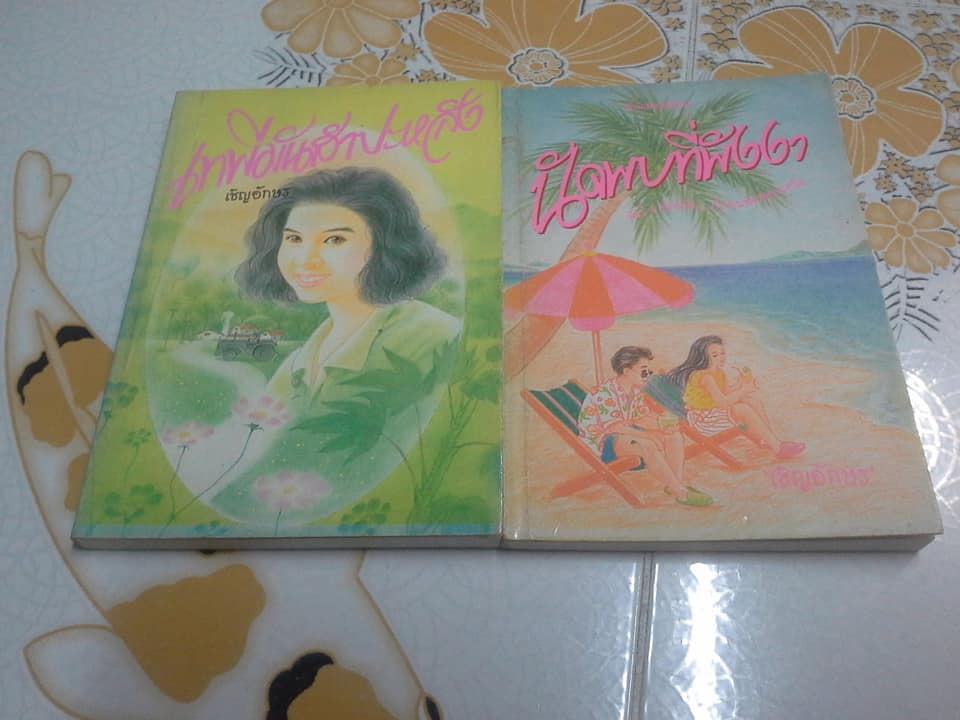 นิยาย ผลงานของ เชิญอักษร ขายยกชุด รวม 11 เรื่อง (ยังไม่ครบ) **สินค้าหมด**