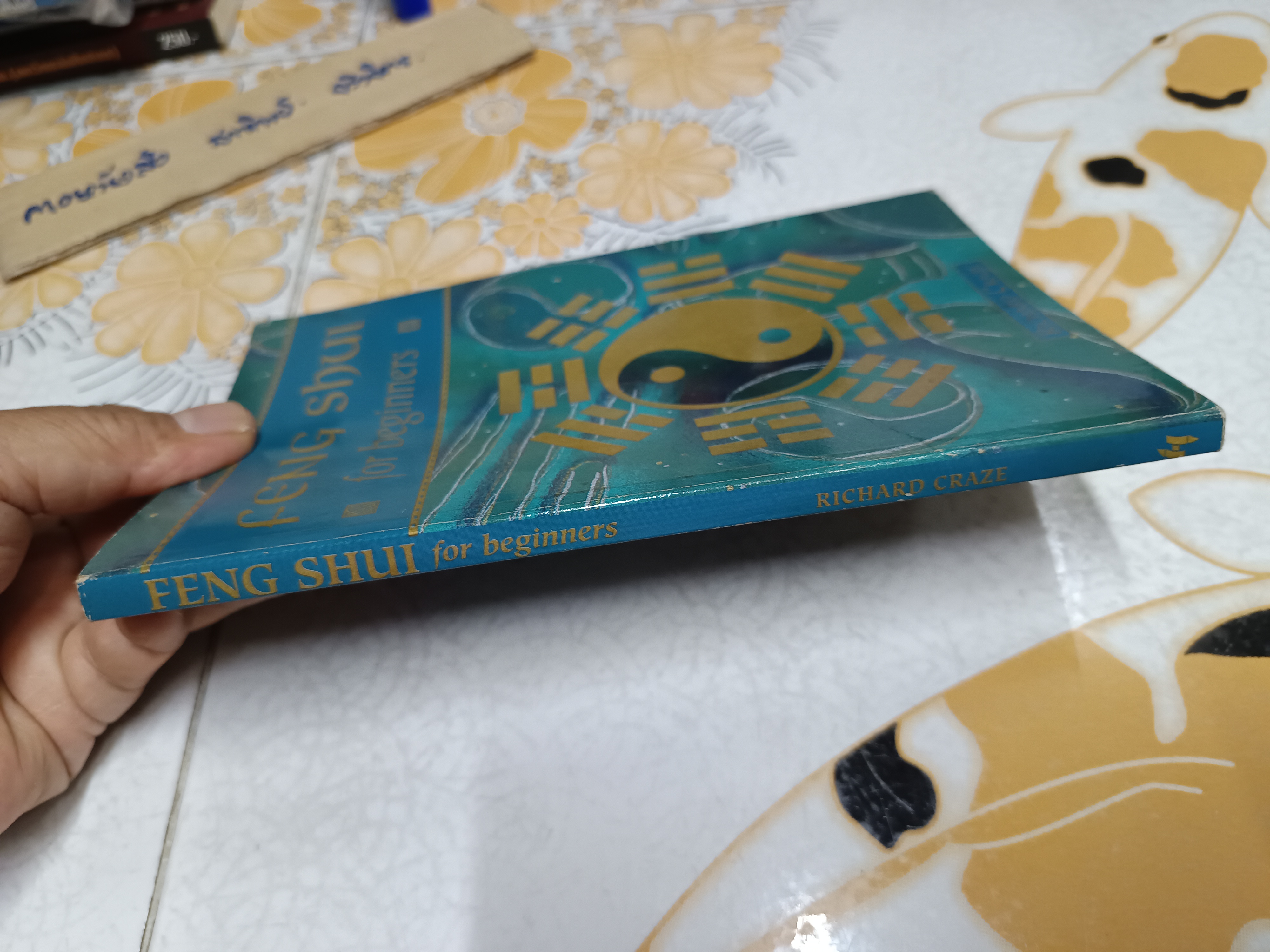 FENG SHUI FOR BEGINNERS by RICHARD CRAZE