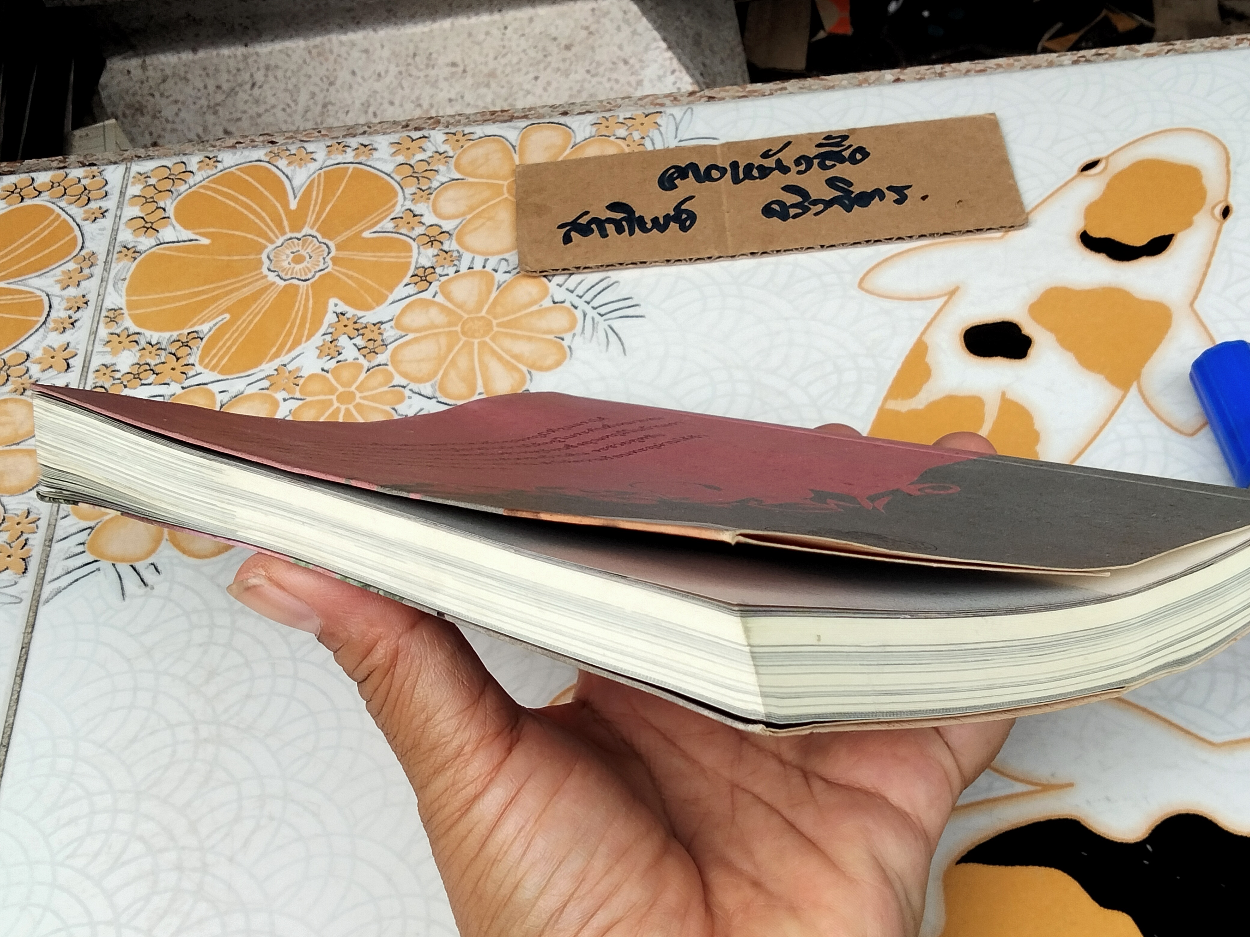 สร้างบ้านด้วยดิน จากดินสู่บ้าน... ธนา อุทัยภัตรากูร และทีมงานบ้านดิน อาศรมวงศ์สนิท (หนังสือมีคราบน้ำ) **สินค้าหมด**